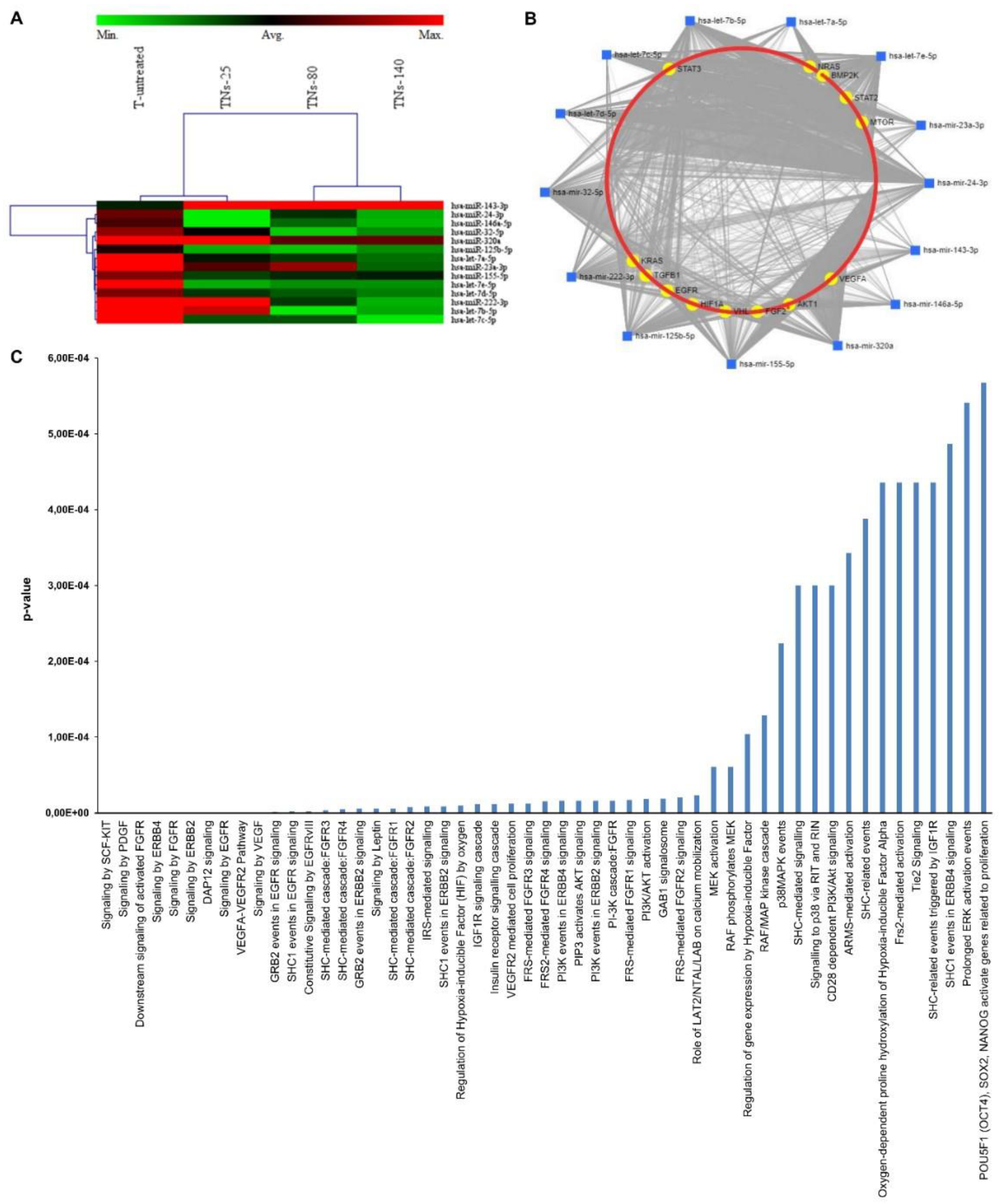 Nanomaterials 11 03452 g008 550