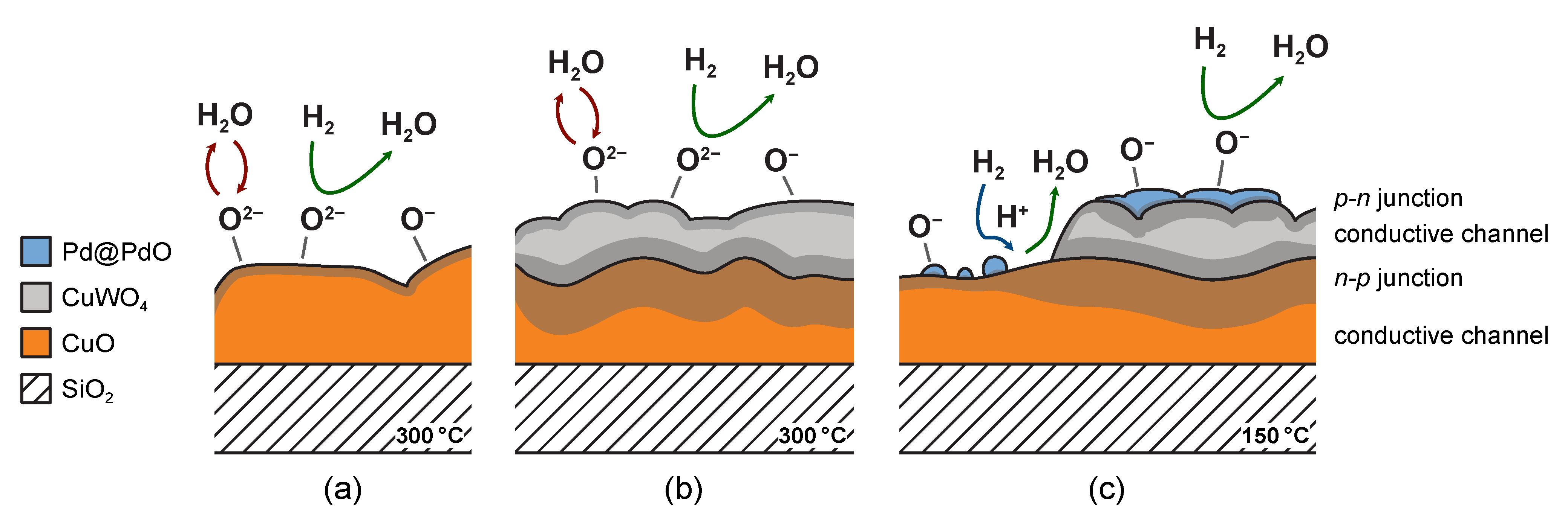 Nanomaterials 11 03456 g008