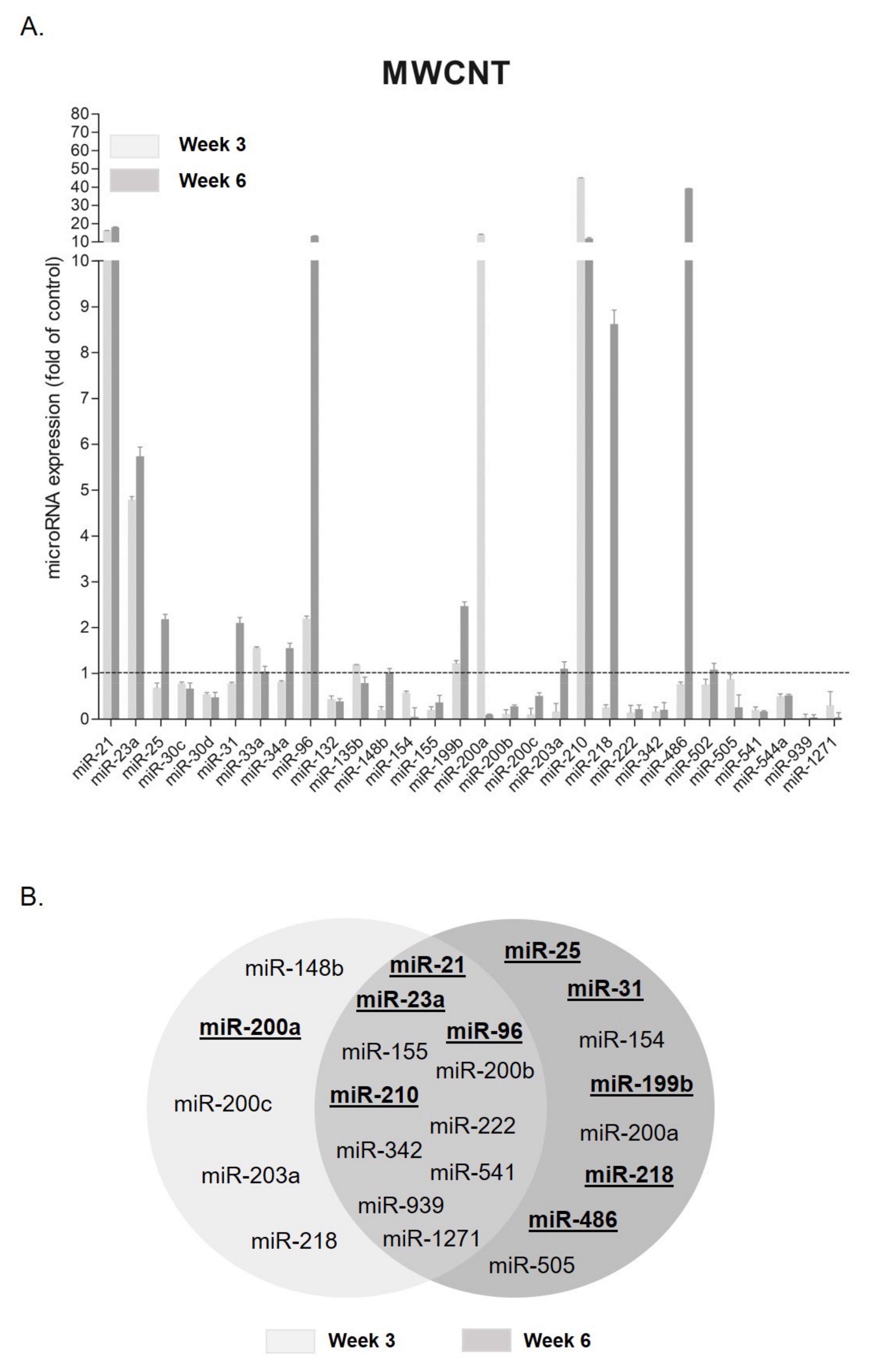 Nanomaterials 11 03458 g004