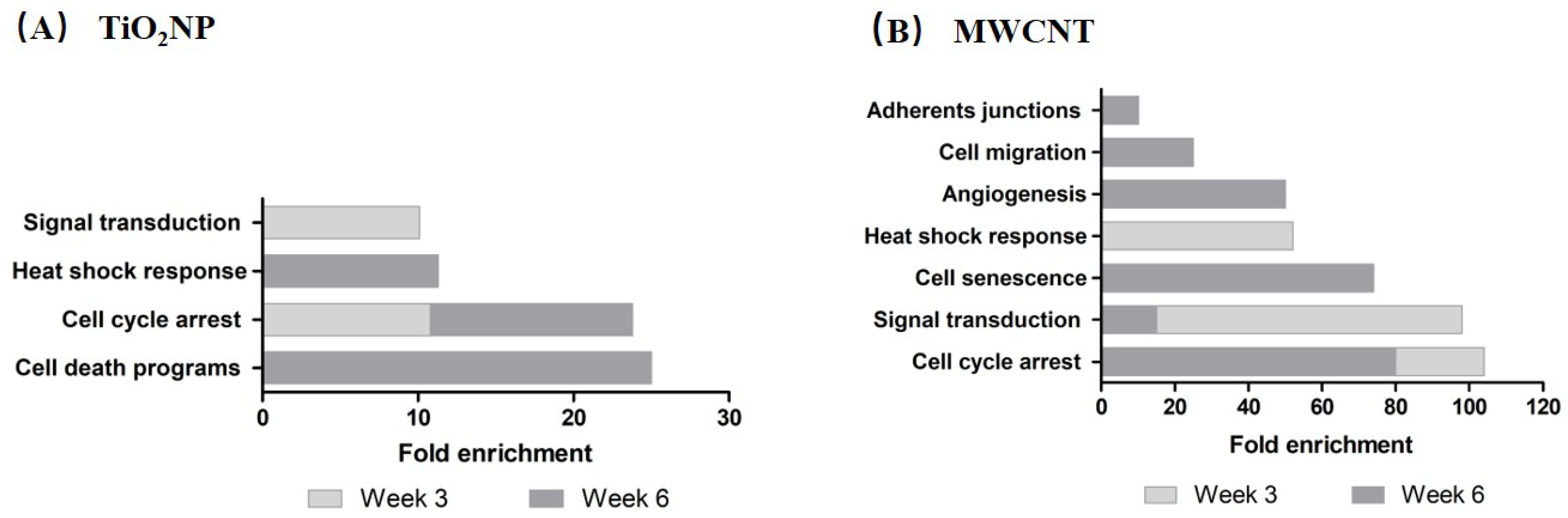 Nanomaterials 11 03458 g005