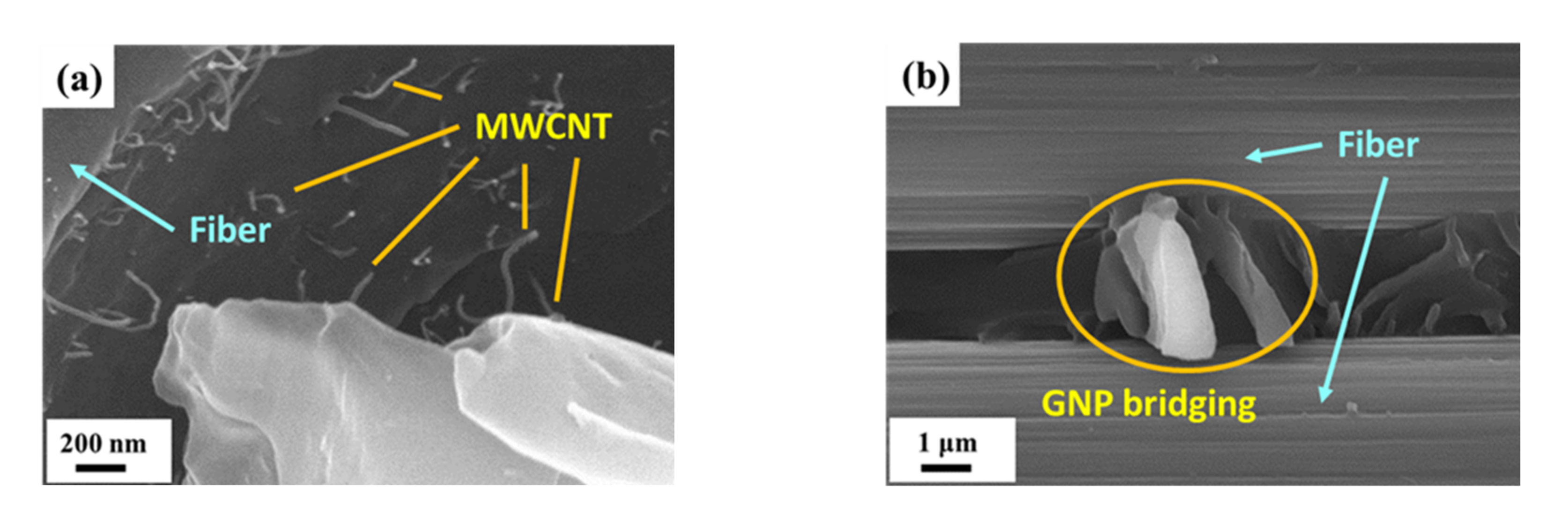 Nanomaterials 11 03459 g014 550
