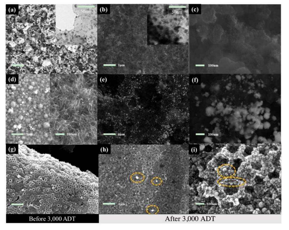 Nanomaterials 11 03462 g007 Nanomaterials 11 03462 g007