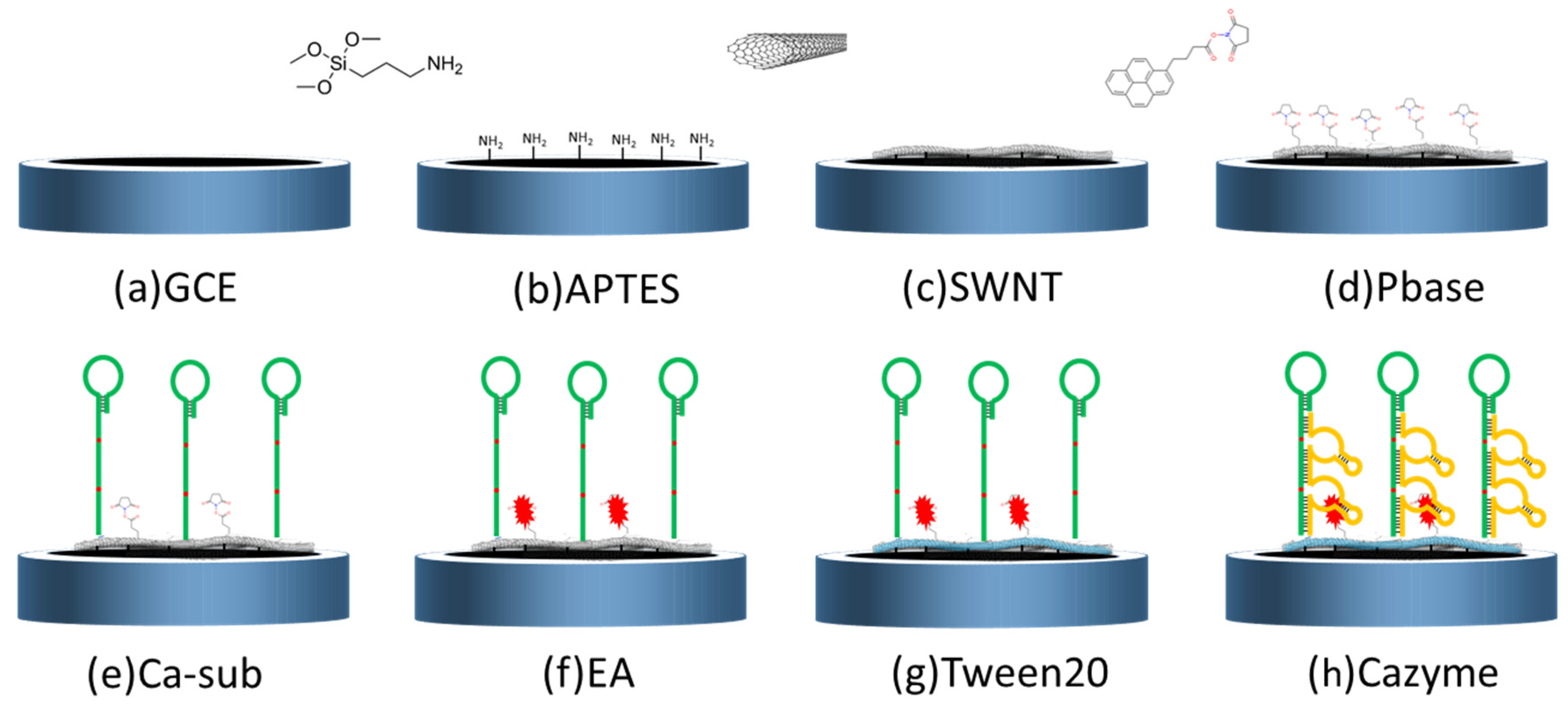 Nanomaterials 12 00004 g001 550