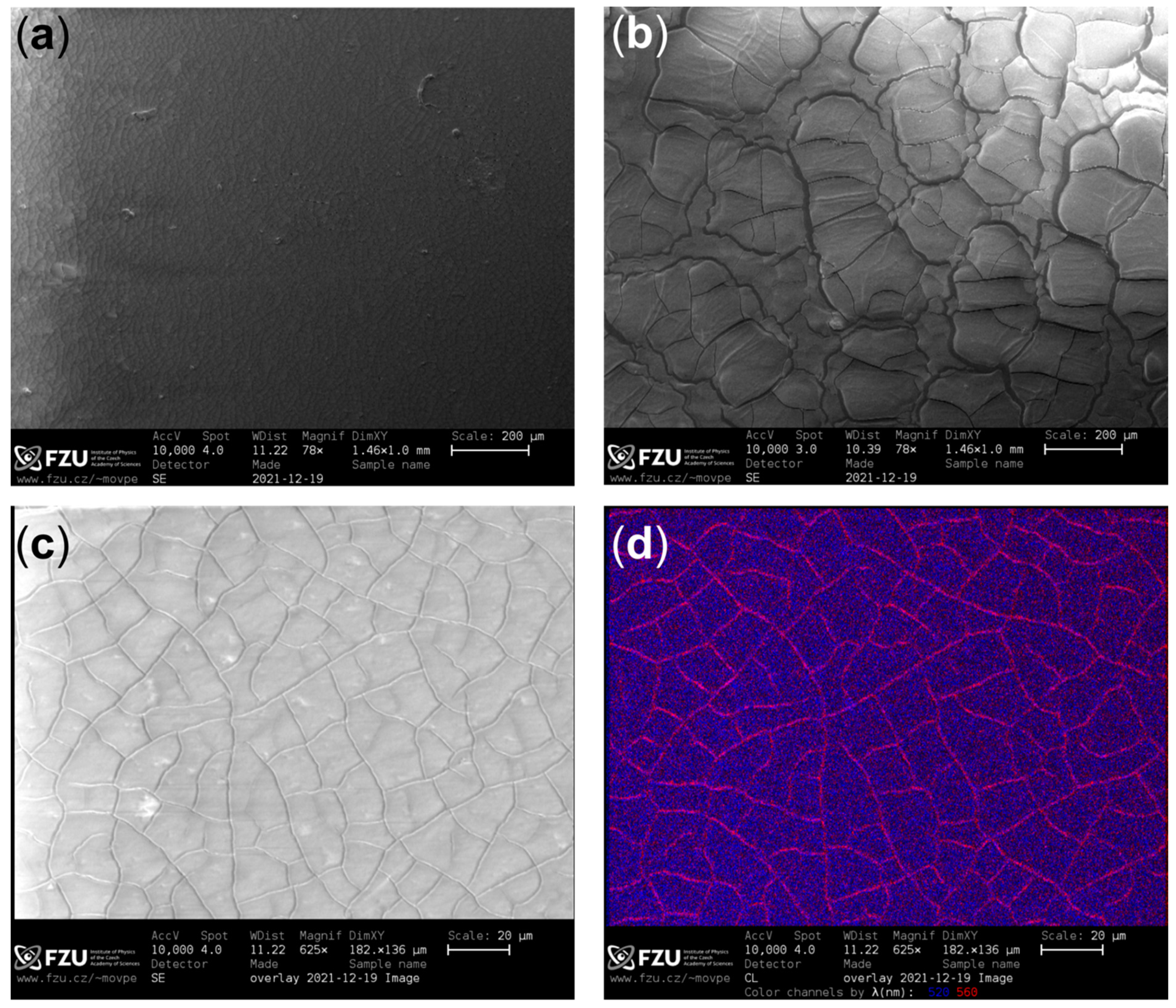Nanomaterials 12 00014 g005 550