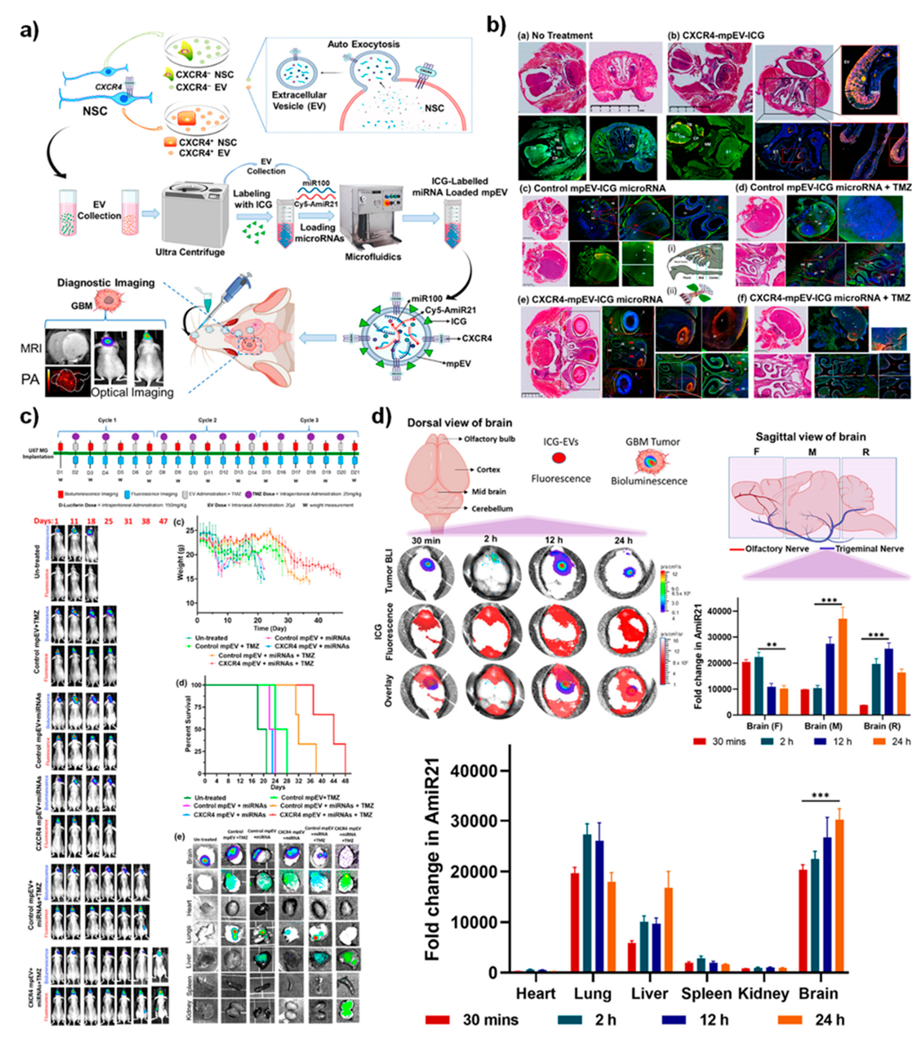 Nanomaterials 12 00018 g005