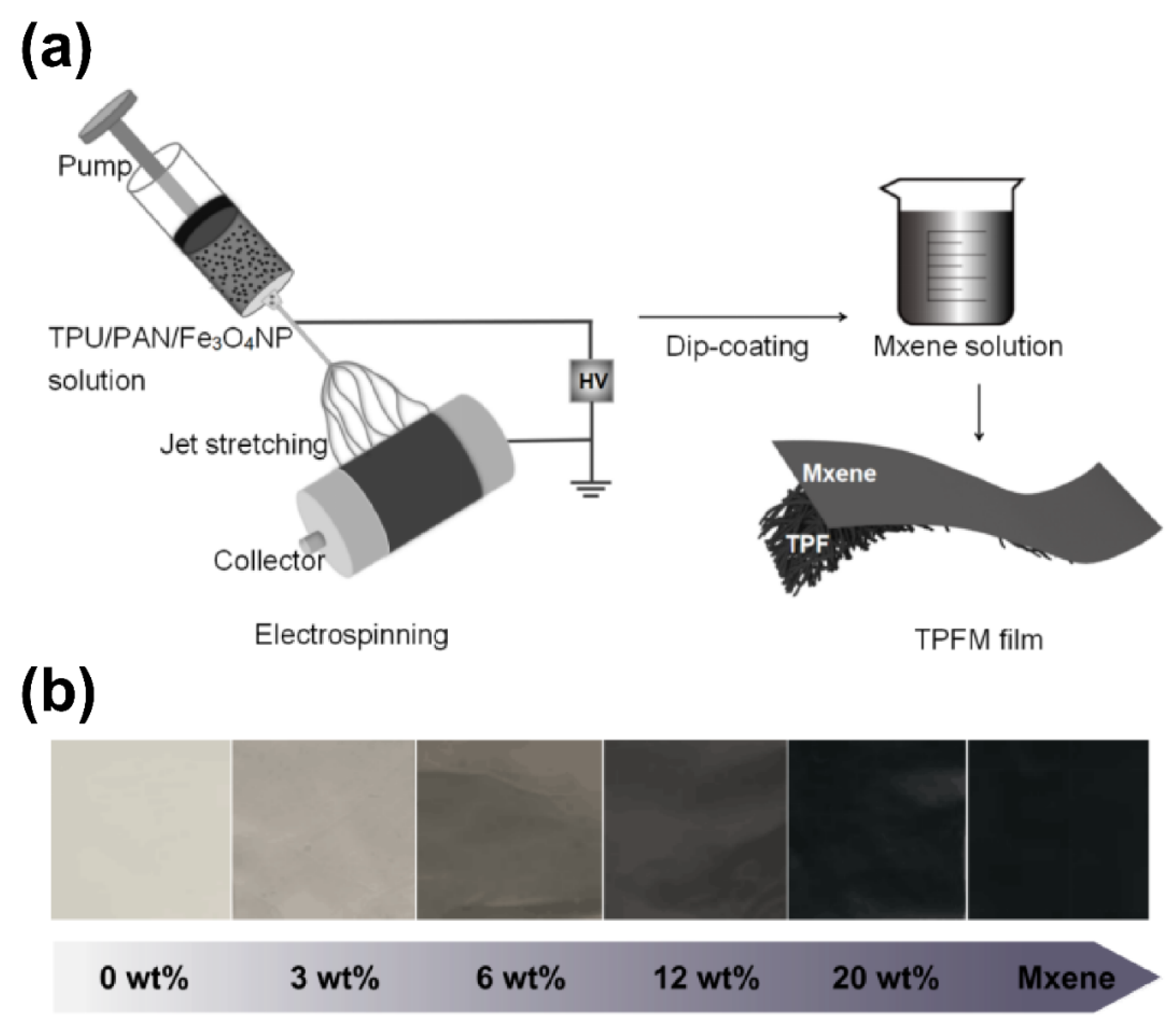 Nanomaterials 12 00020 g001