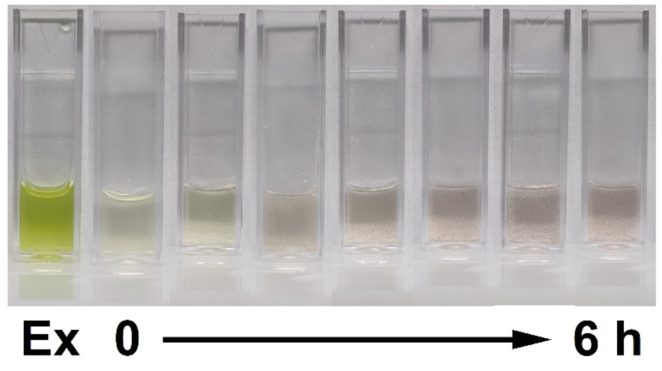 Nanomaterials 12 00028 g001