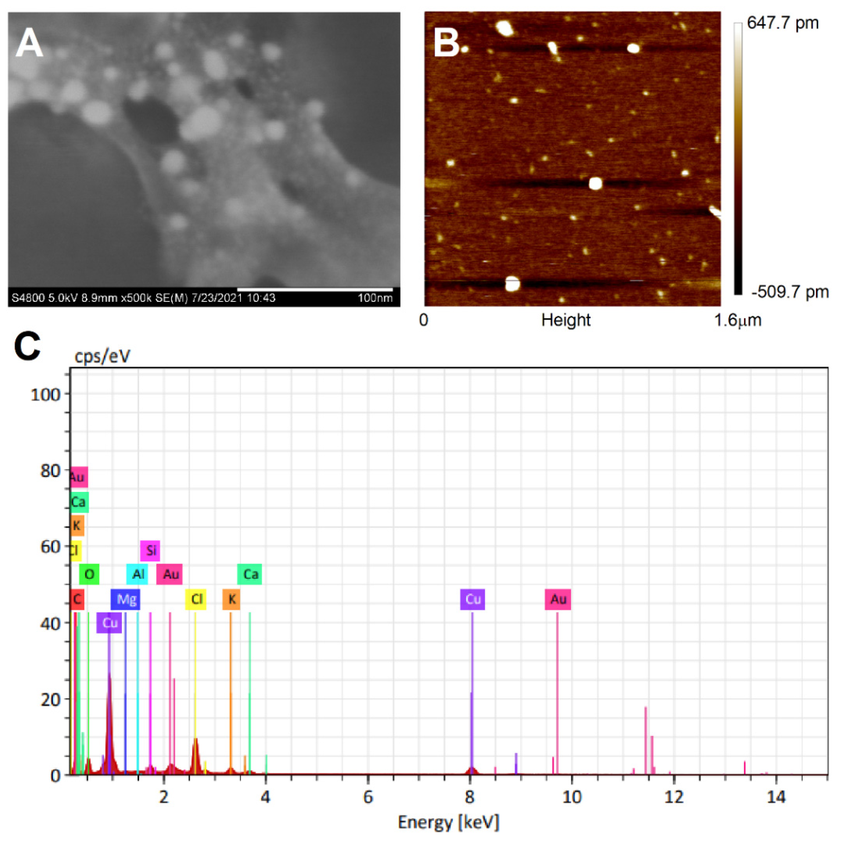 Nanomaterials 12 00028 g003