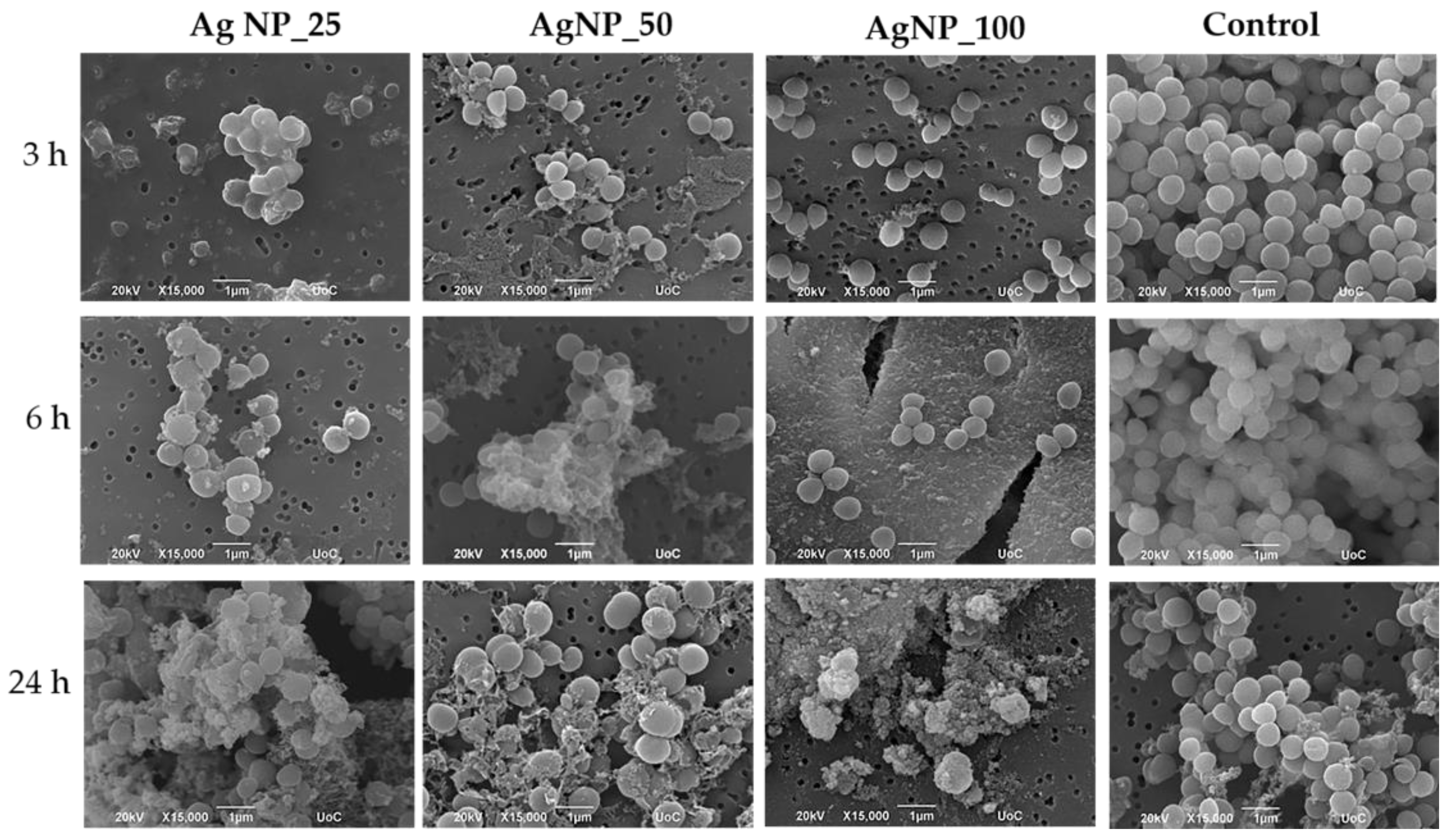 Nanomaterials 12 00031 g004