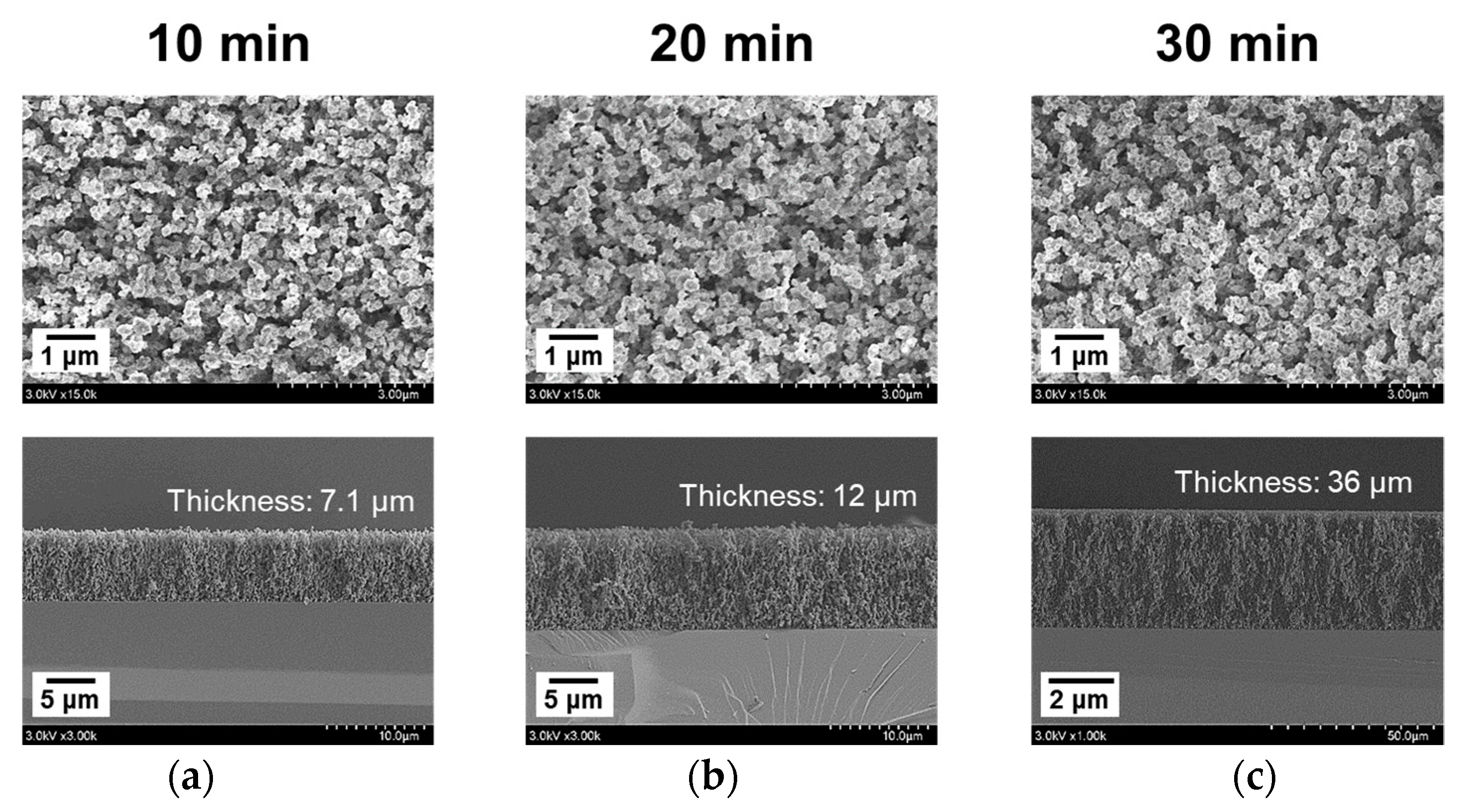 Nanomaterials 12 00032 g009