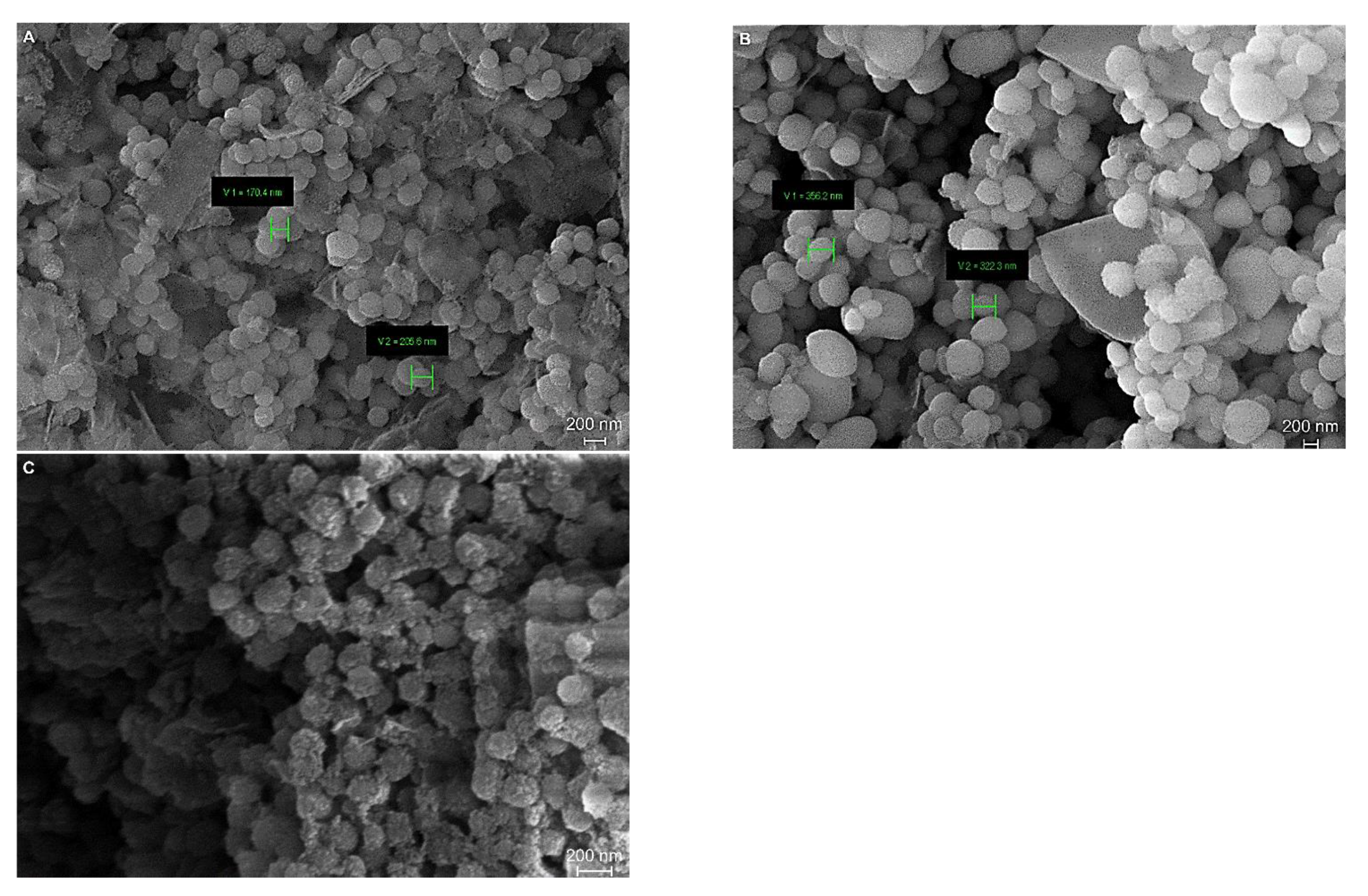 Nanomaterials 12 00039 g003