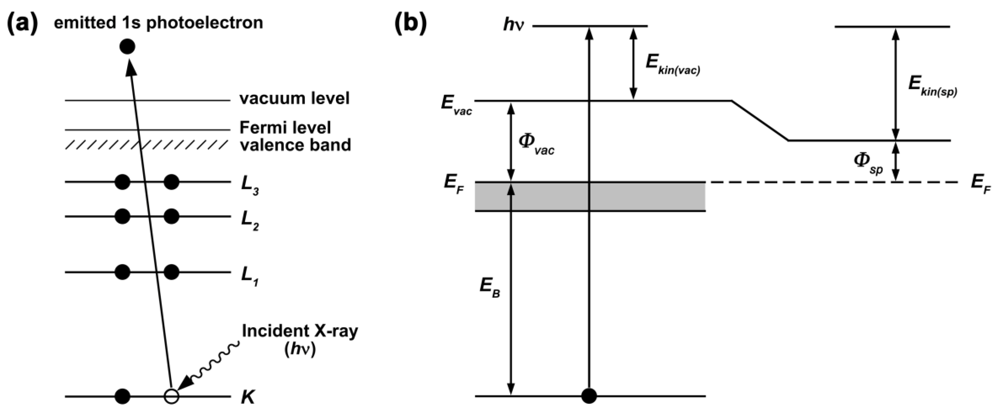 Nanomaterials 12 00042 g005