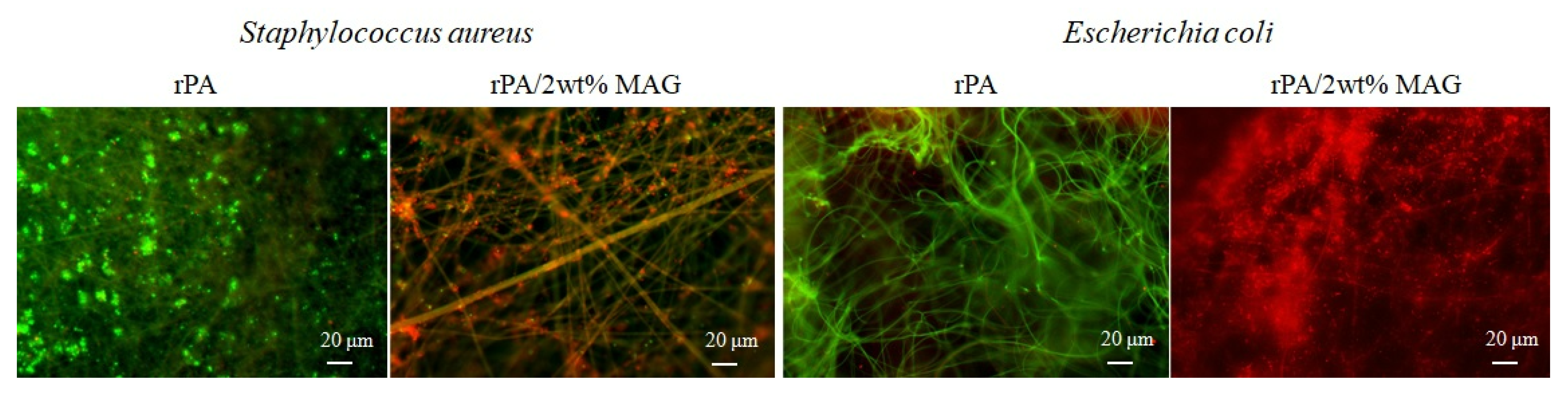Nanomaterials 12 00050 g009 550