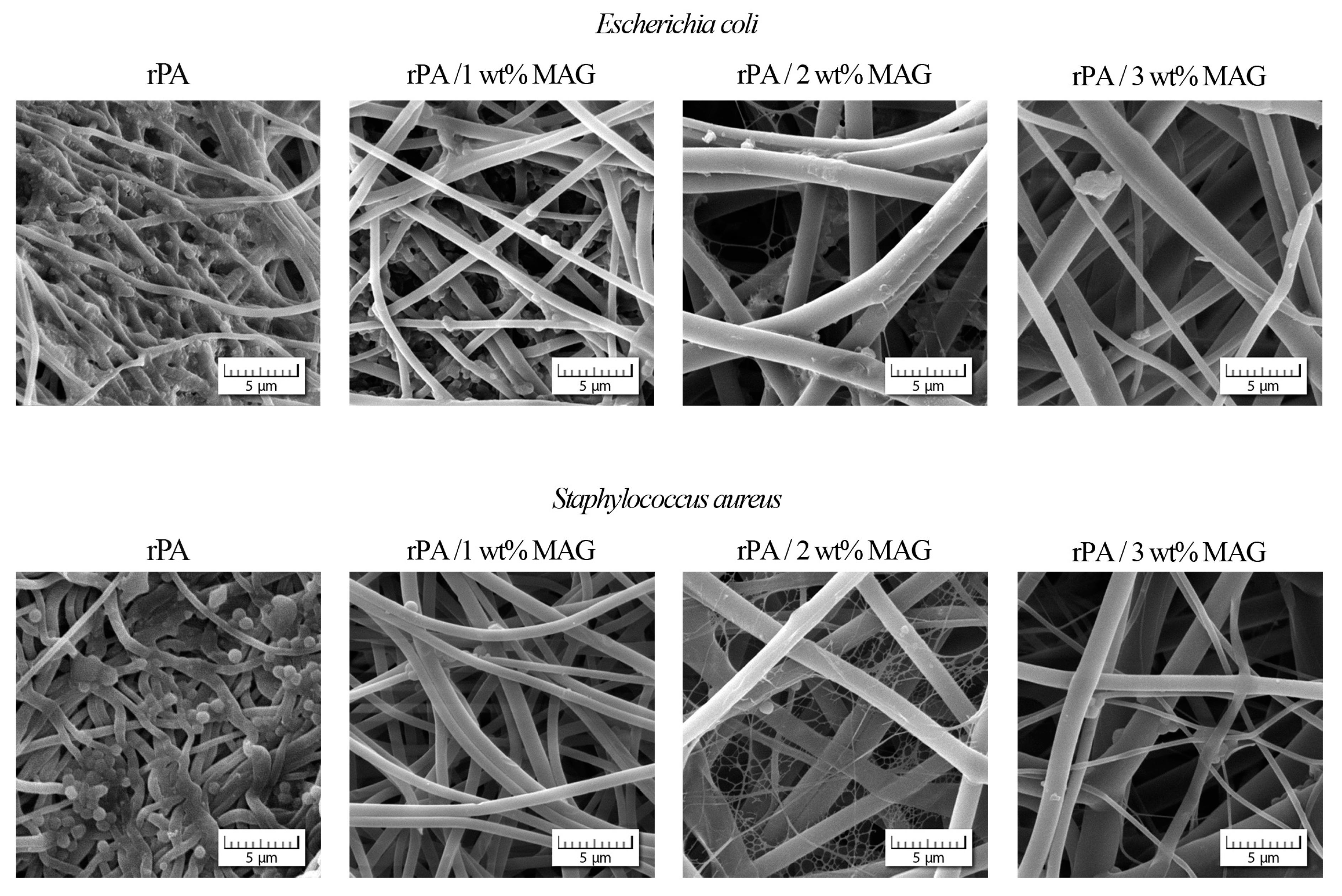 Nanomaterials 12 00050 g010 550