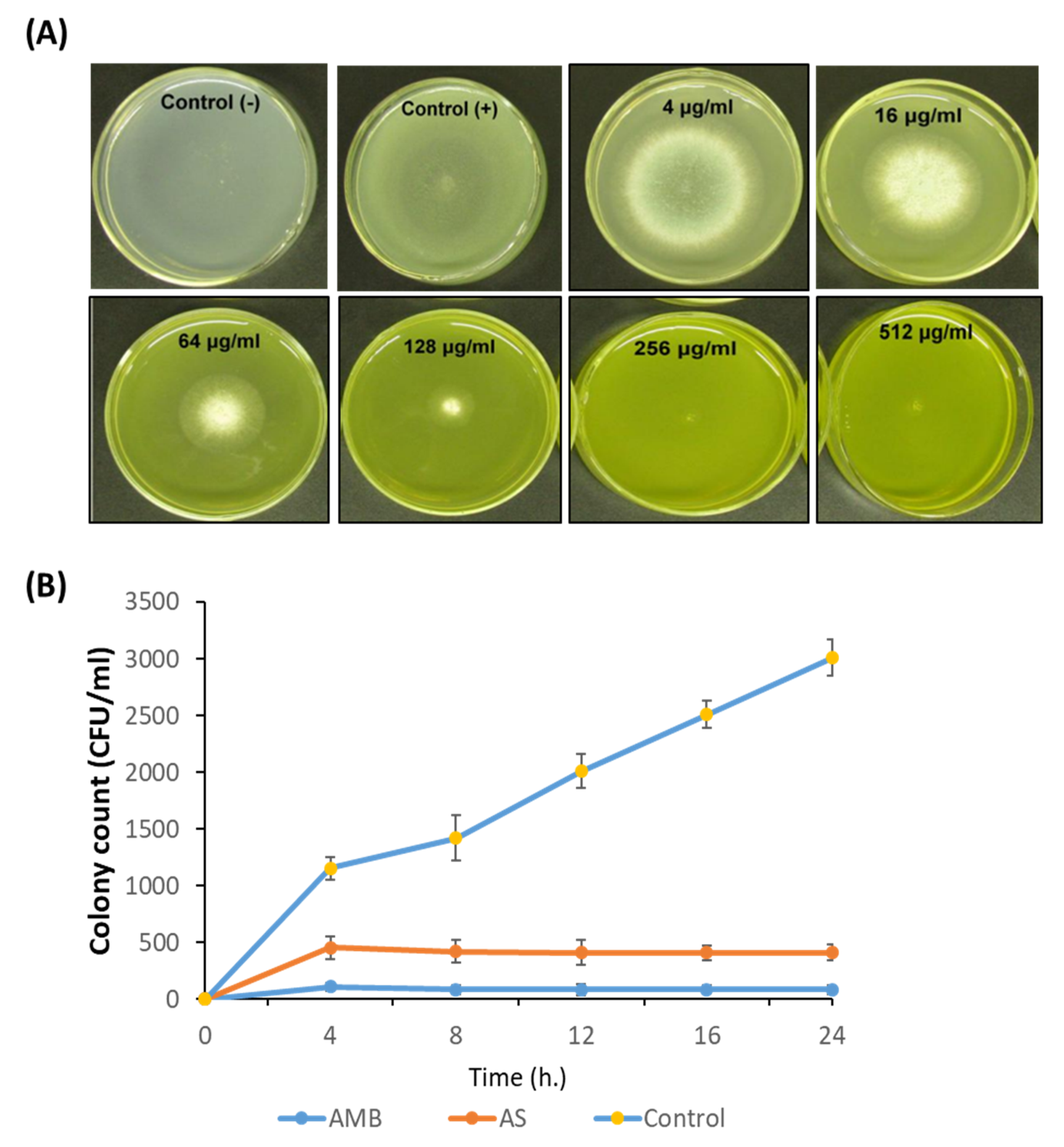 Nanomaterials 12 00051 g003 Nanomaterials 12 00051 g003