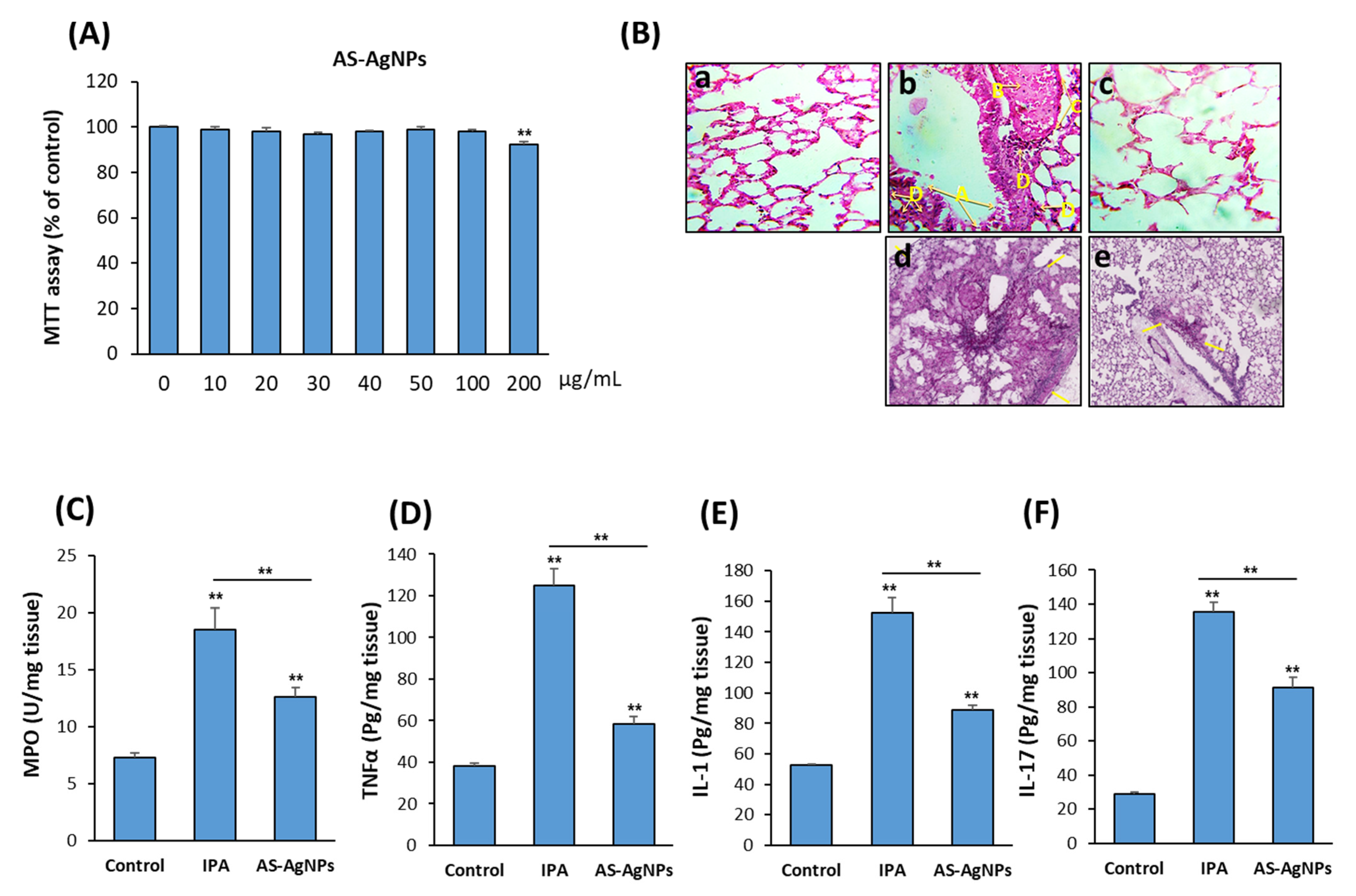 Nanomaterials 12 00051 g005 Nanomaterials 12 00051 g005