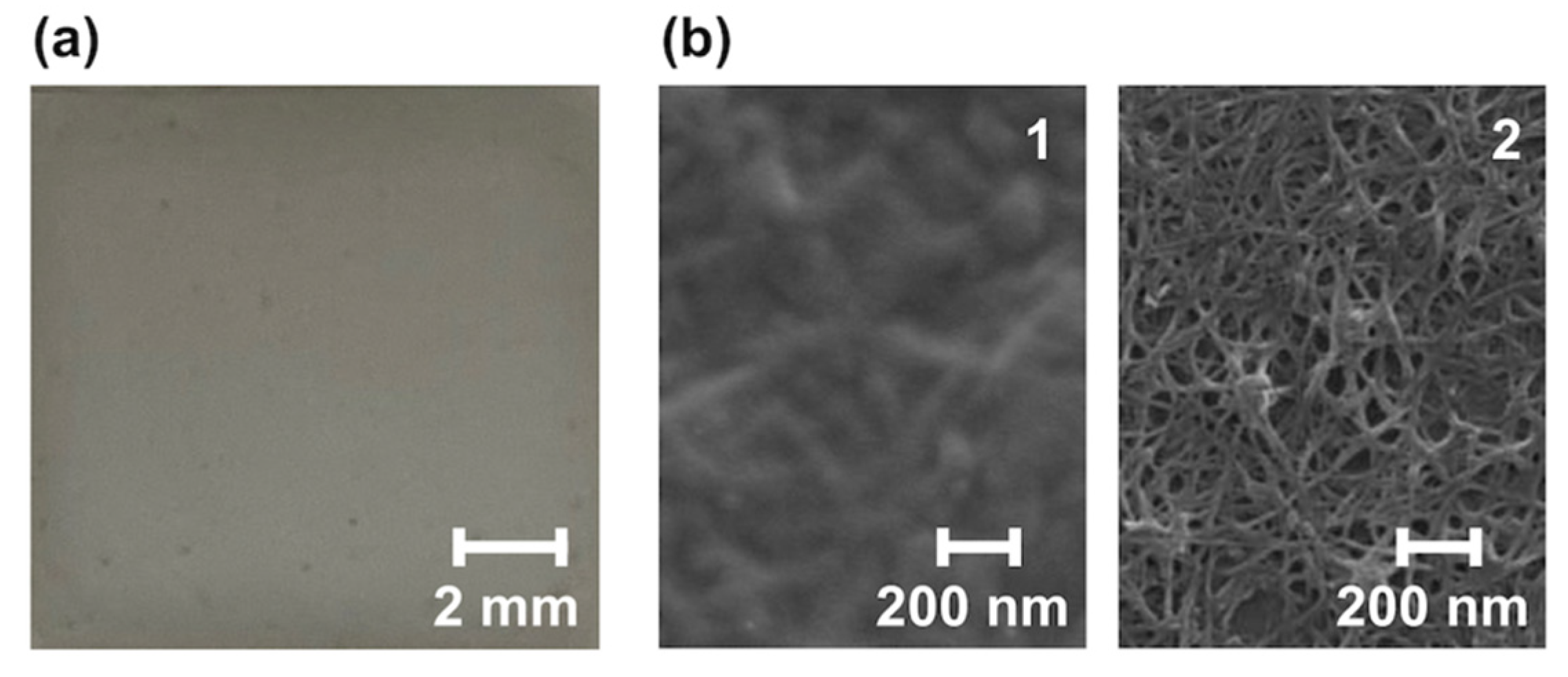 Nanomaterials 12 00052 g005