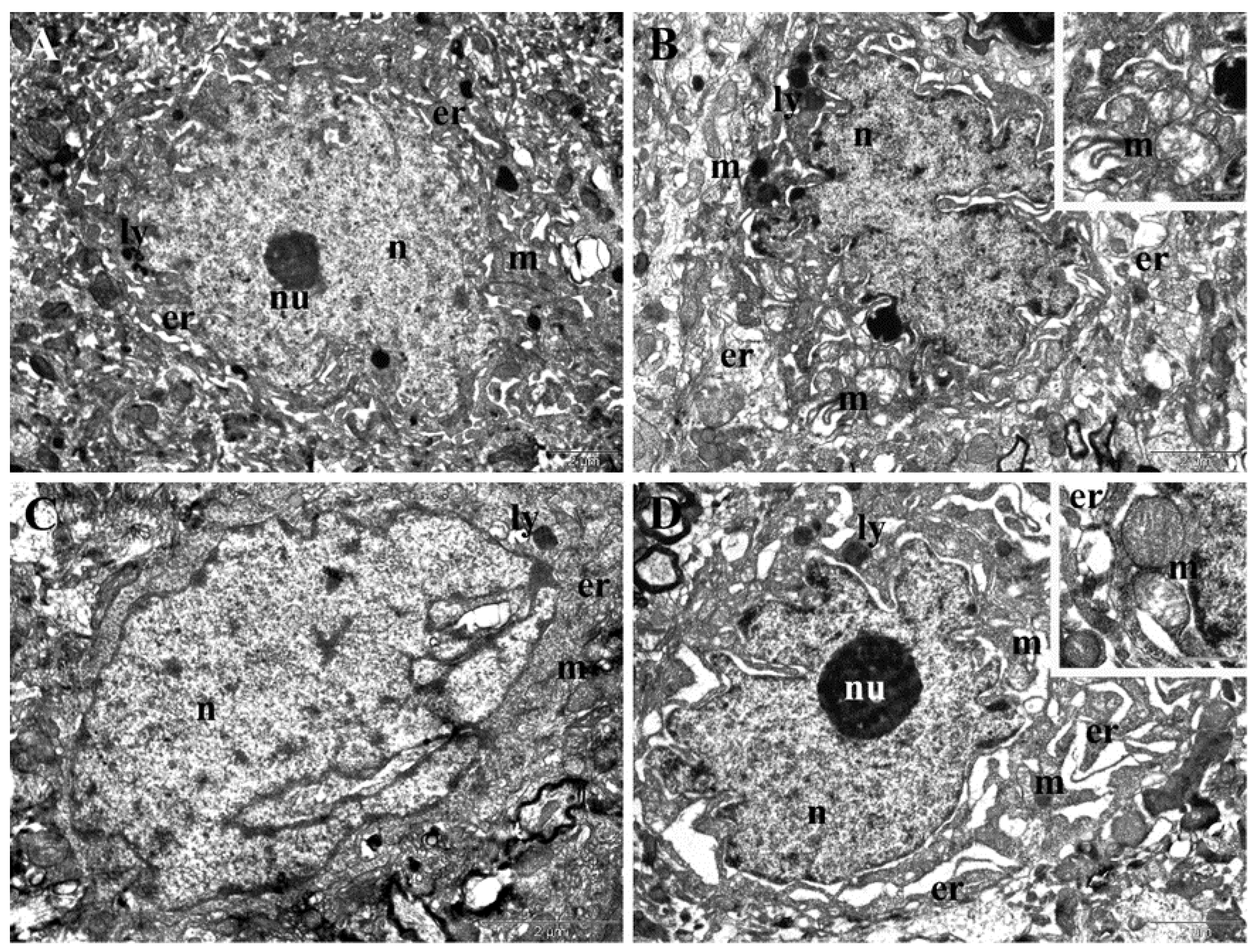 Nanomaterials 12 00058 g010 550