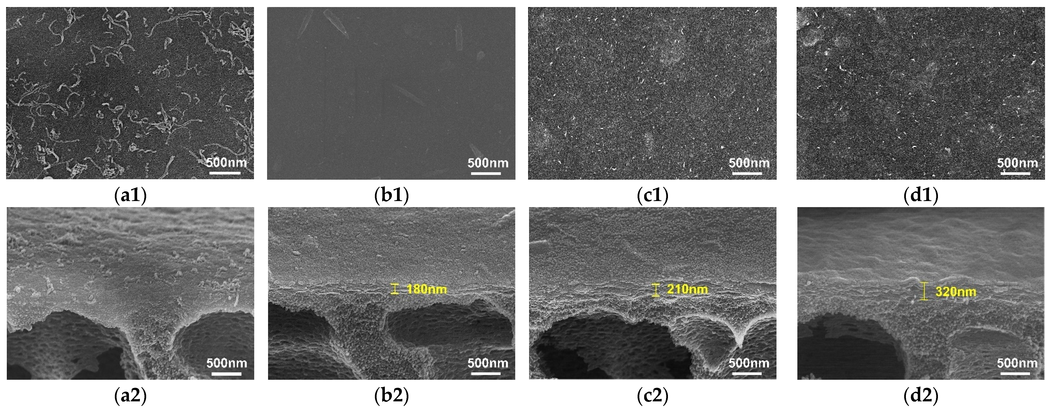 Nanomaterials 12 00059 g003