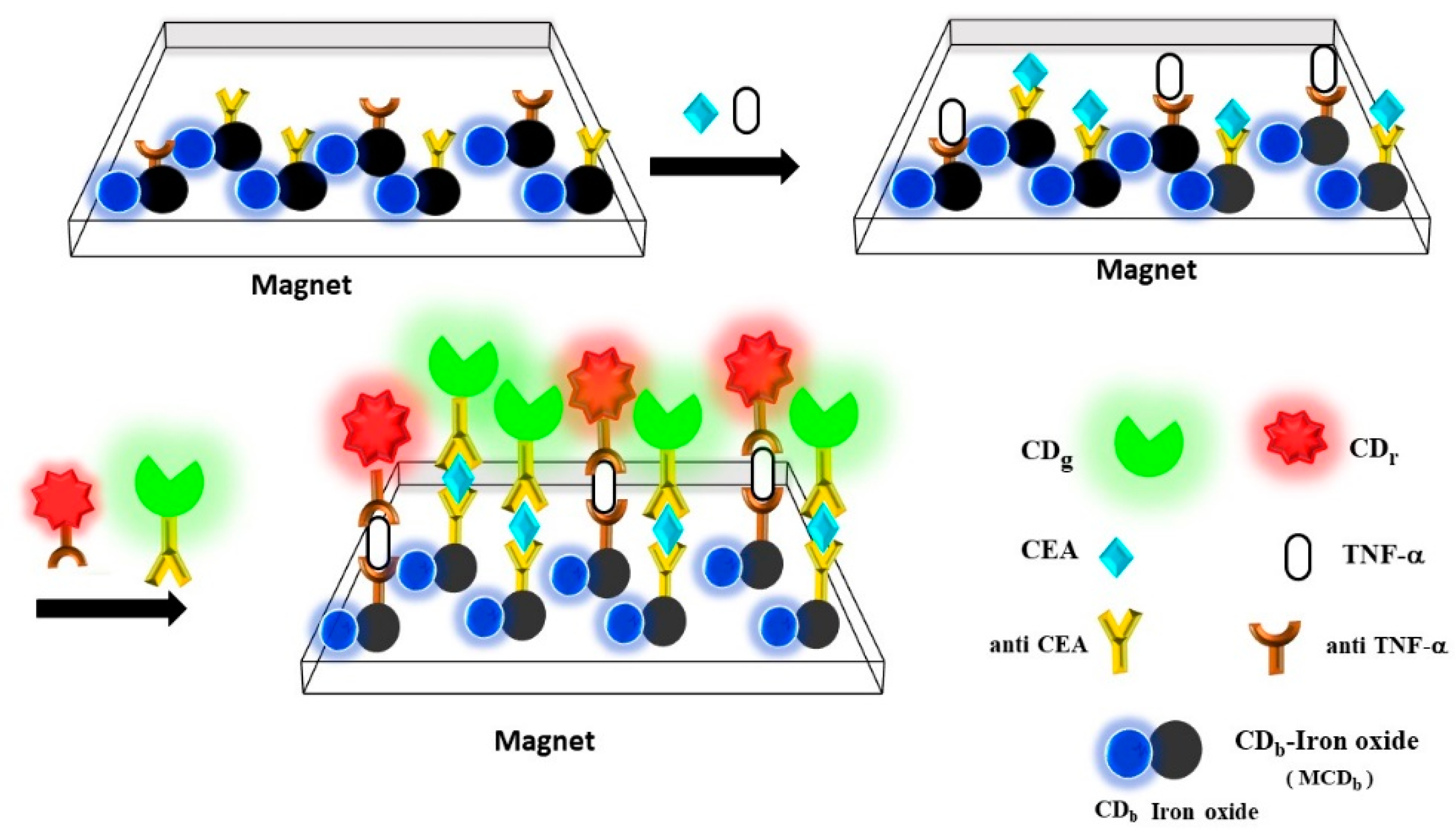 Nanomaterials 12 00066 g001