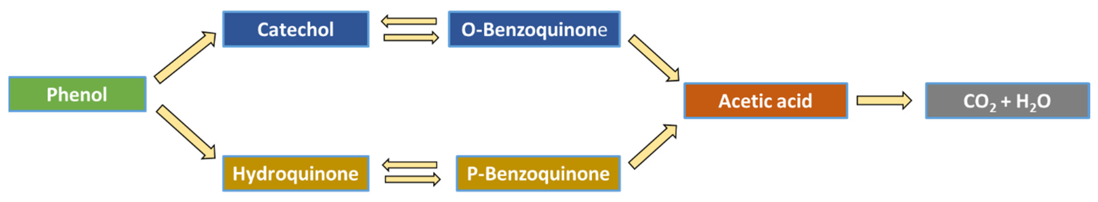 Nanomaterials 12 00069 g011 550
