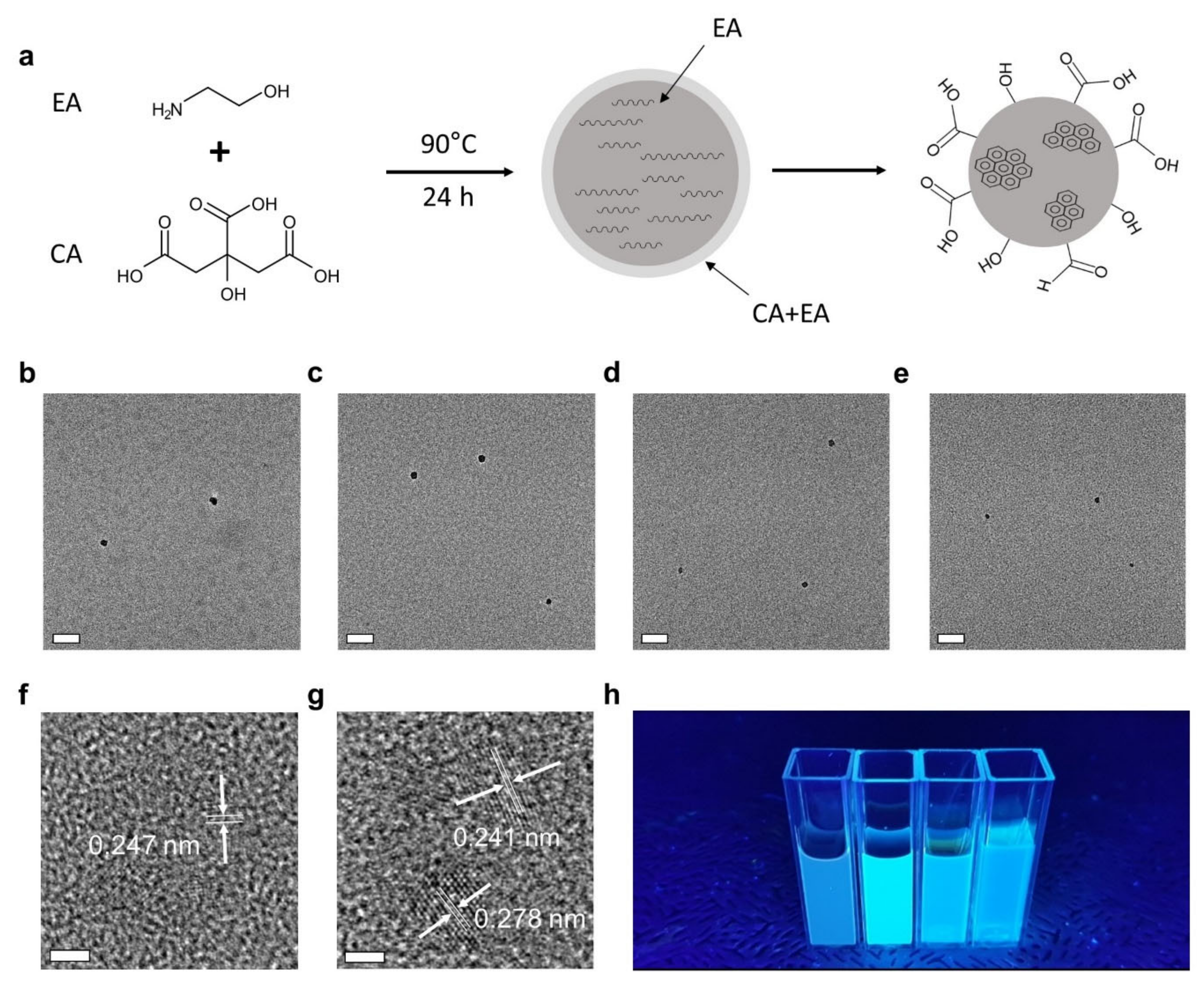 Nanomaterials 12 00070 g001 550
