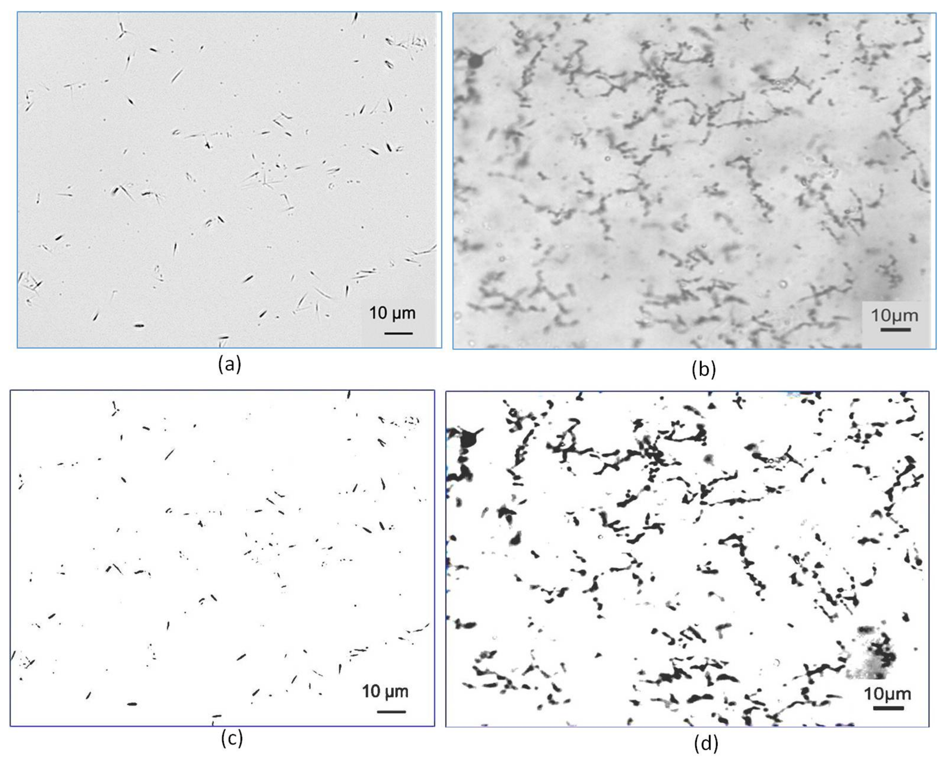 Nanomaterials 12 00074 g007