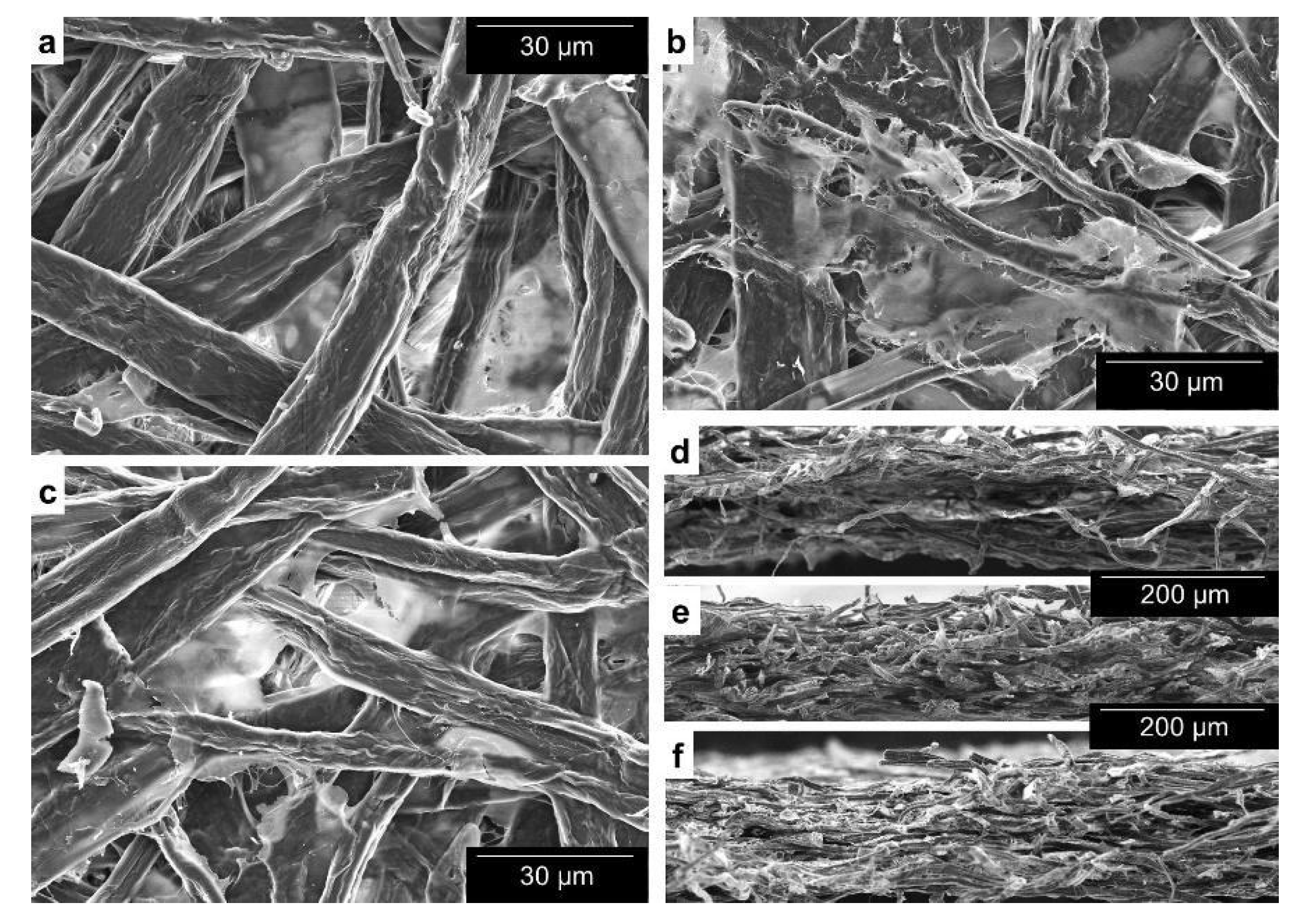 Nanomaterials 12 00079 g002 Nanomaterials 12 00079 g002
