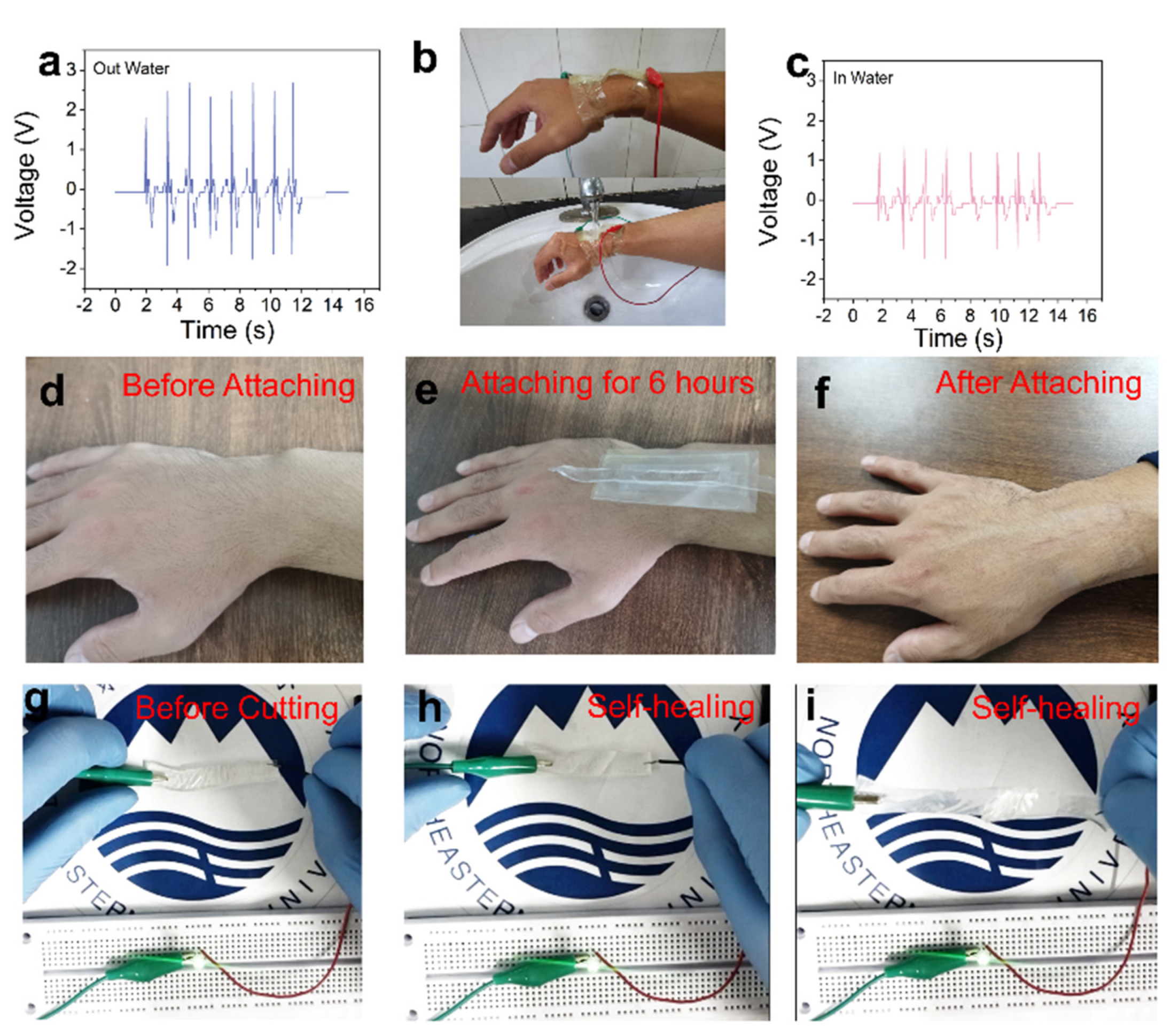 Nanomaterials 12 00104 g006 550