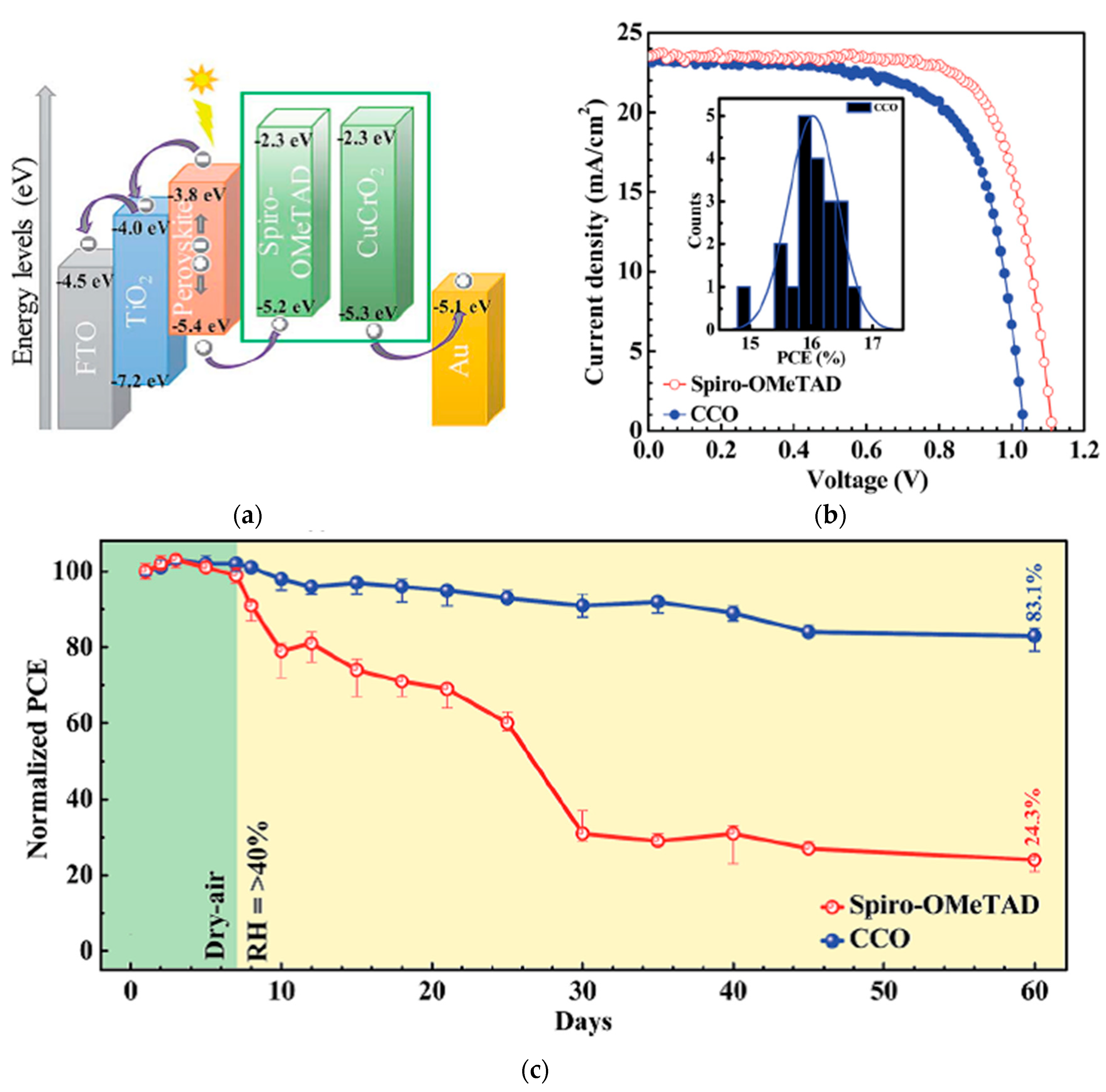 Nanomaterials 12 00112 g010 550