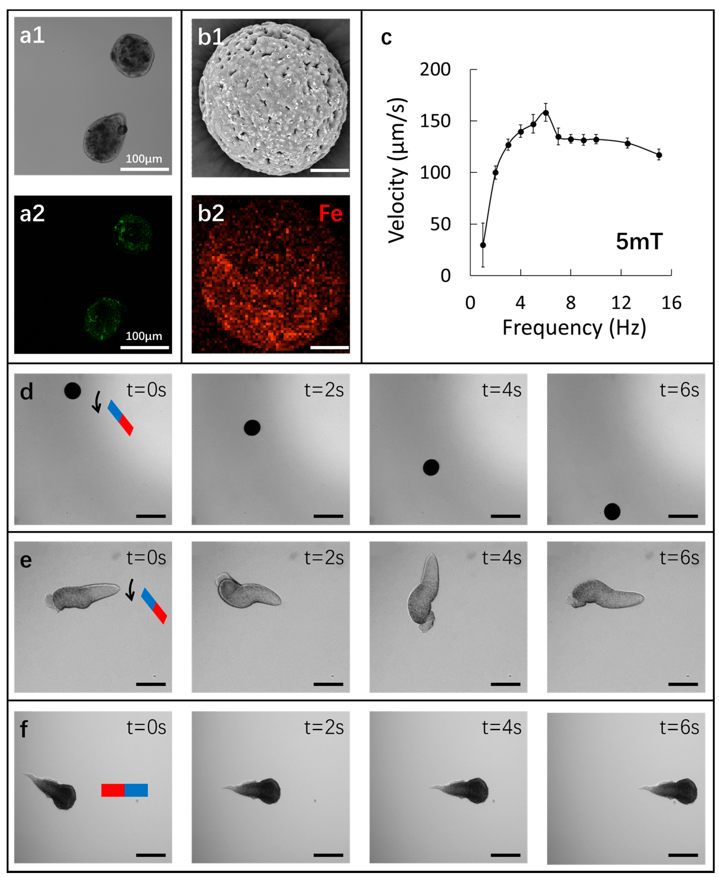Nanomaterials 12 00115 g004