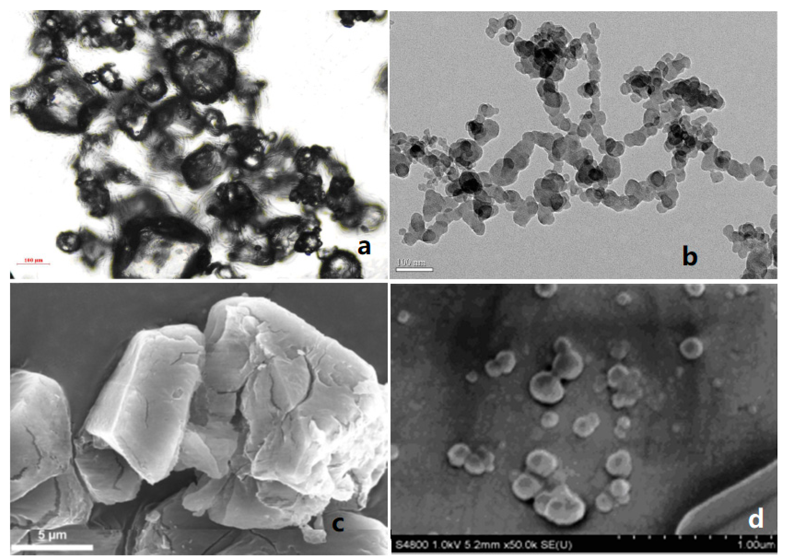 Nanomaterials 12 00133 g001