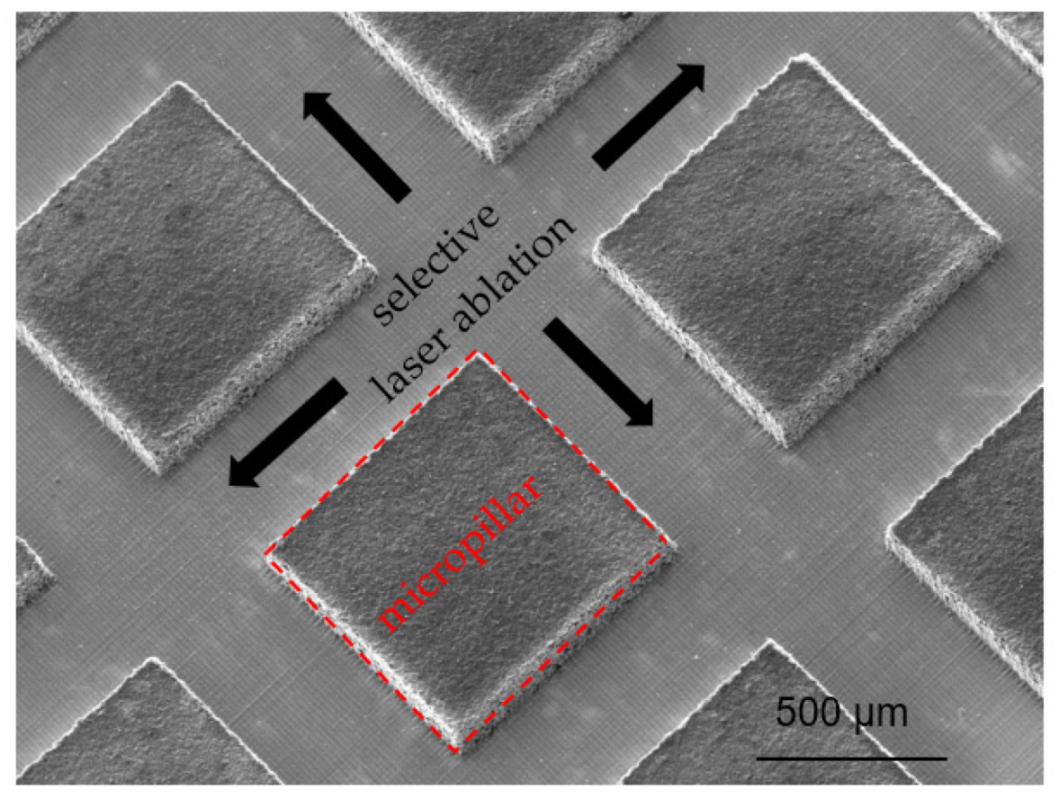 Nanomaterials 12 00140 g001