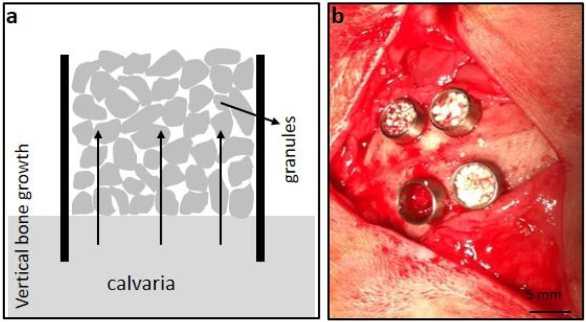 Nanomaterials 12 00143 g001