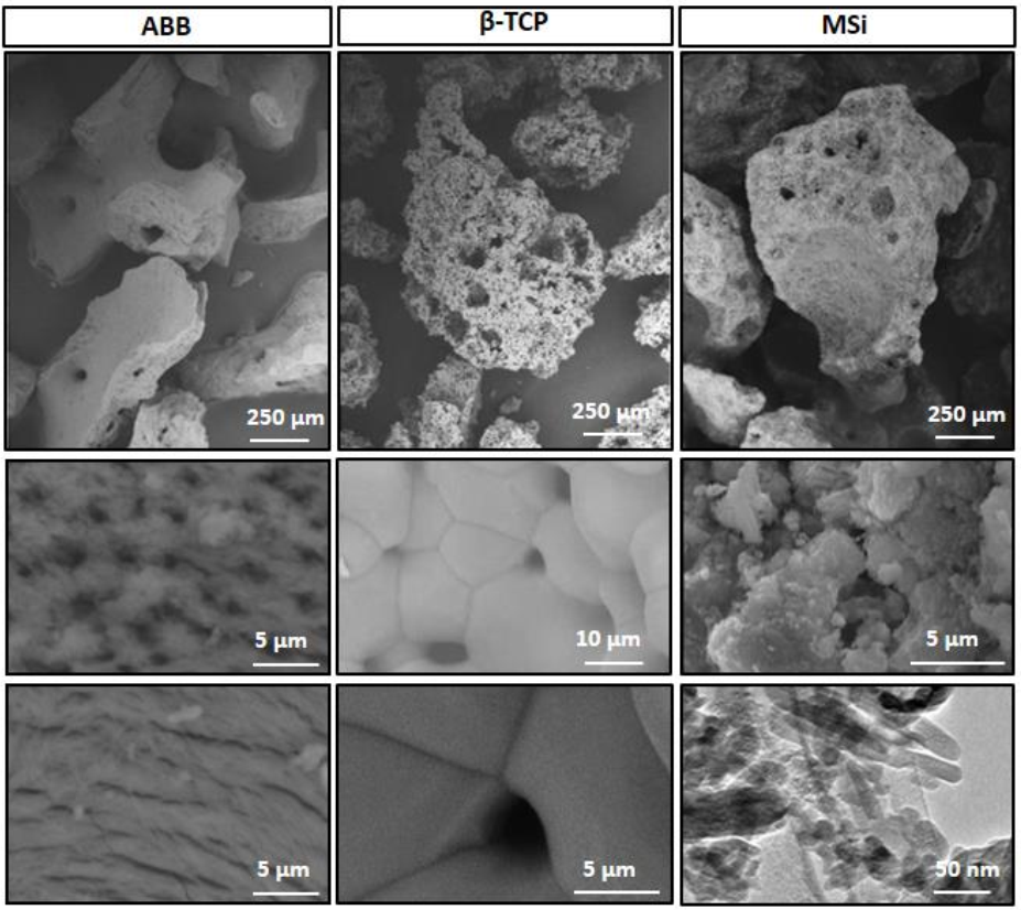 Nanomaterials 12 00143 g003