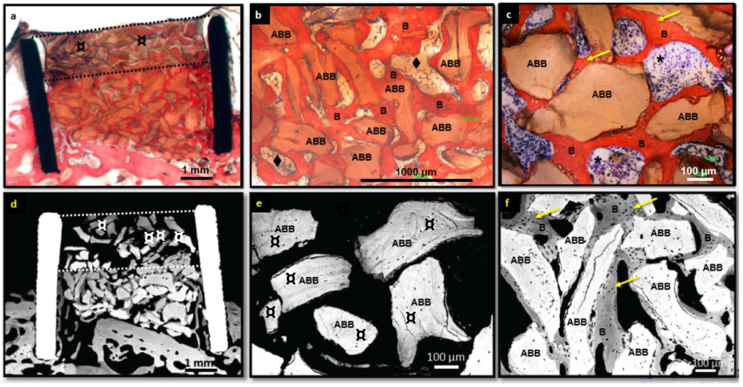 Nanomaterials 12 00143 g006