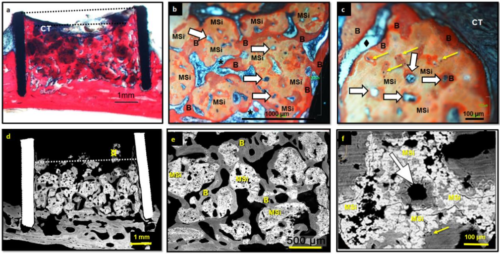 Nanomaterials 12 00143 g008