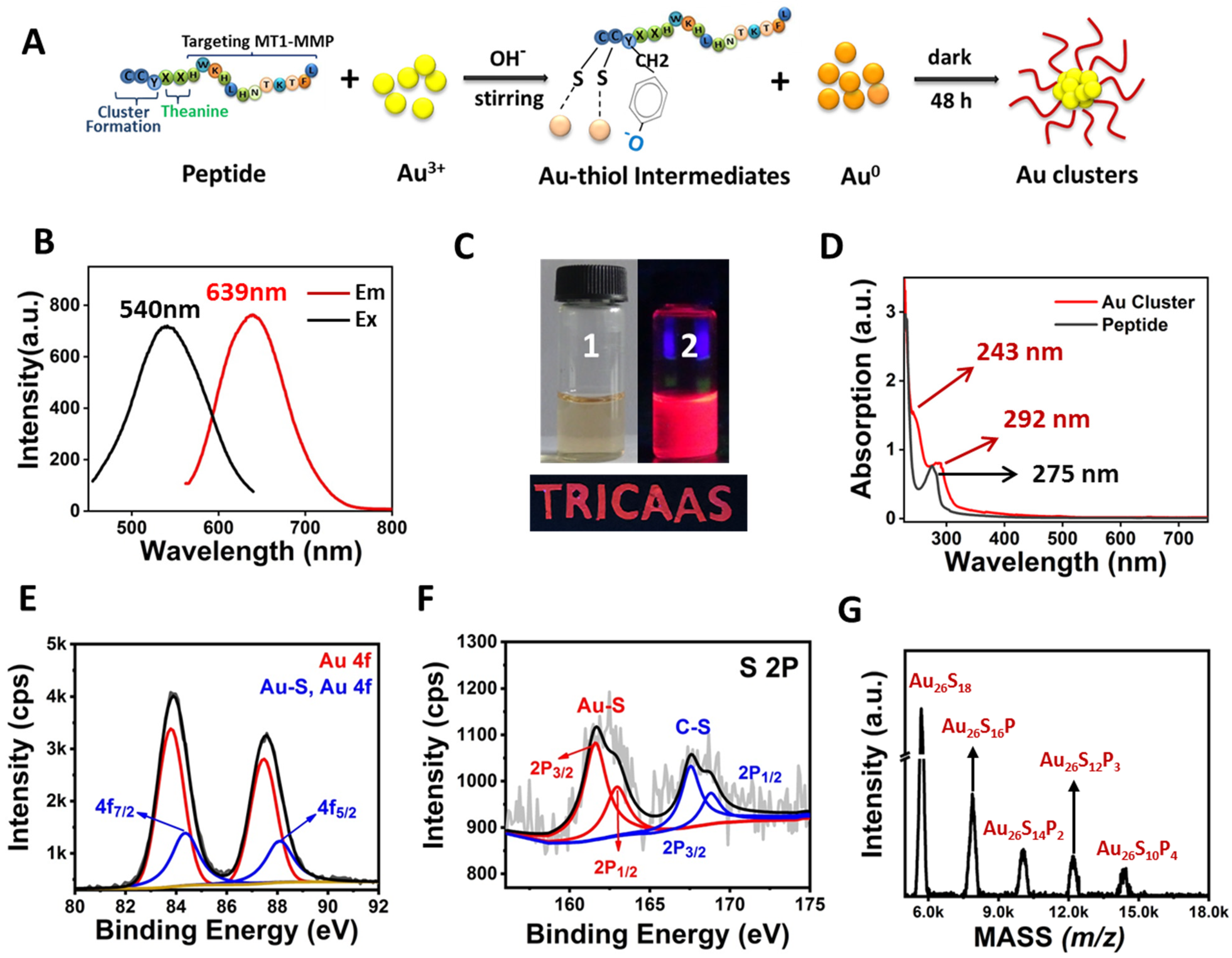 Nanomaterials 12 00145 g001