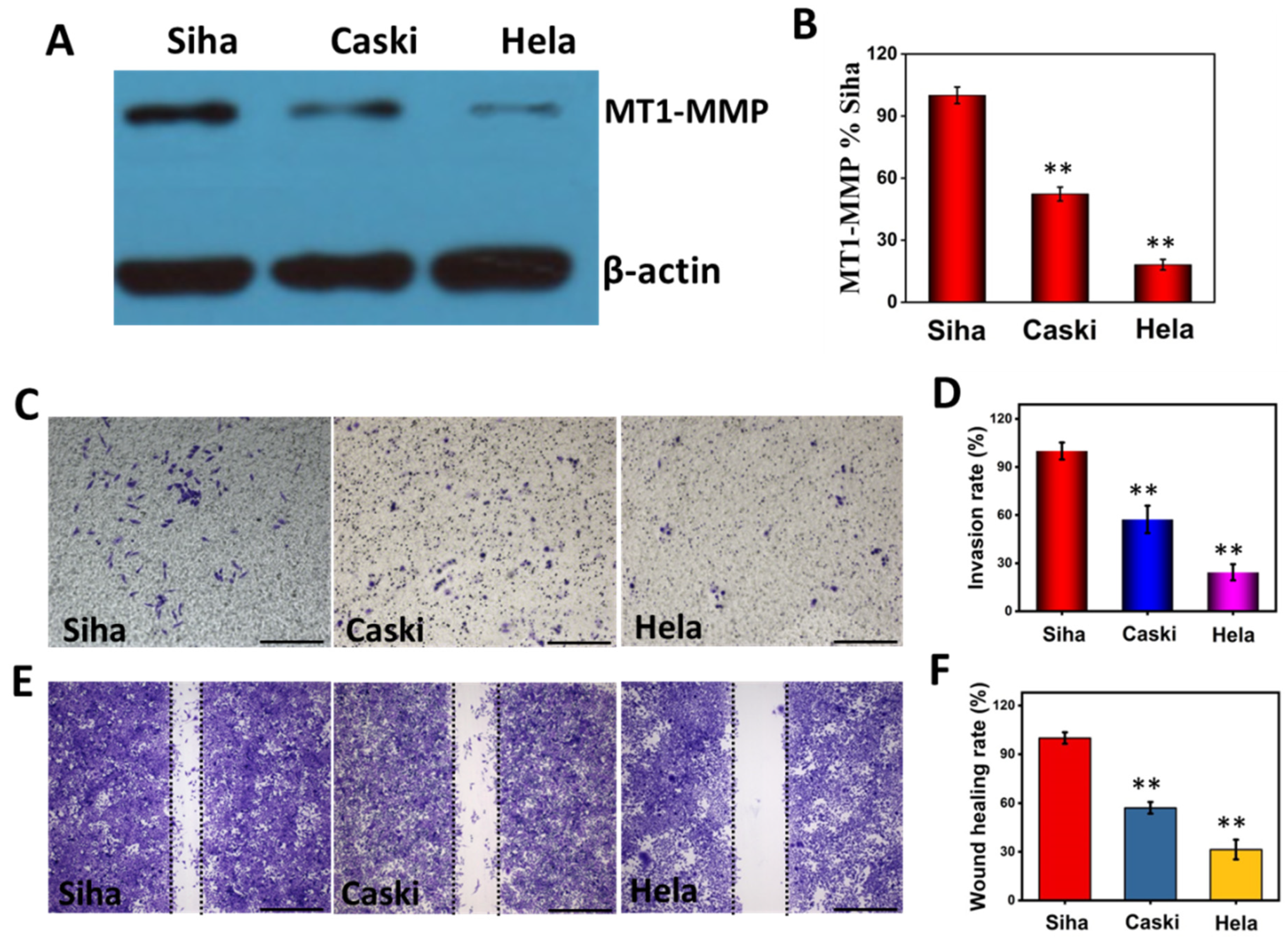 Nanomaterials 12 00145 g003