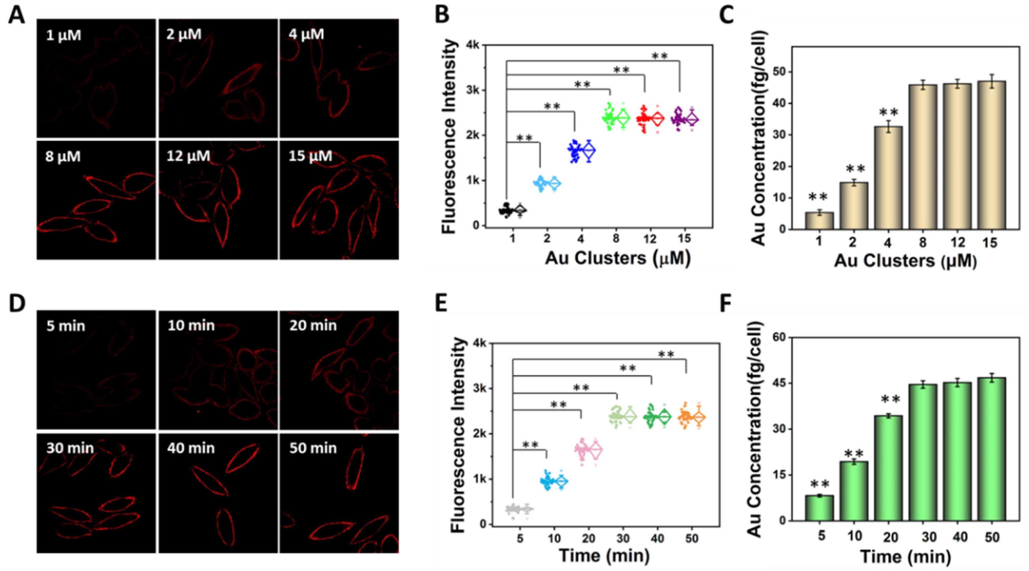 Nanomaterials 12 00145 g005