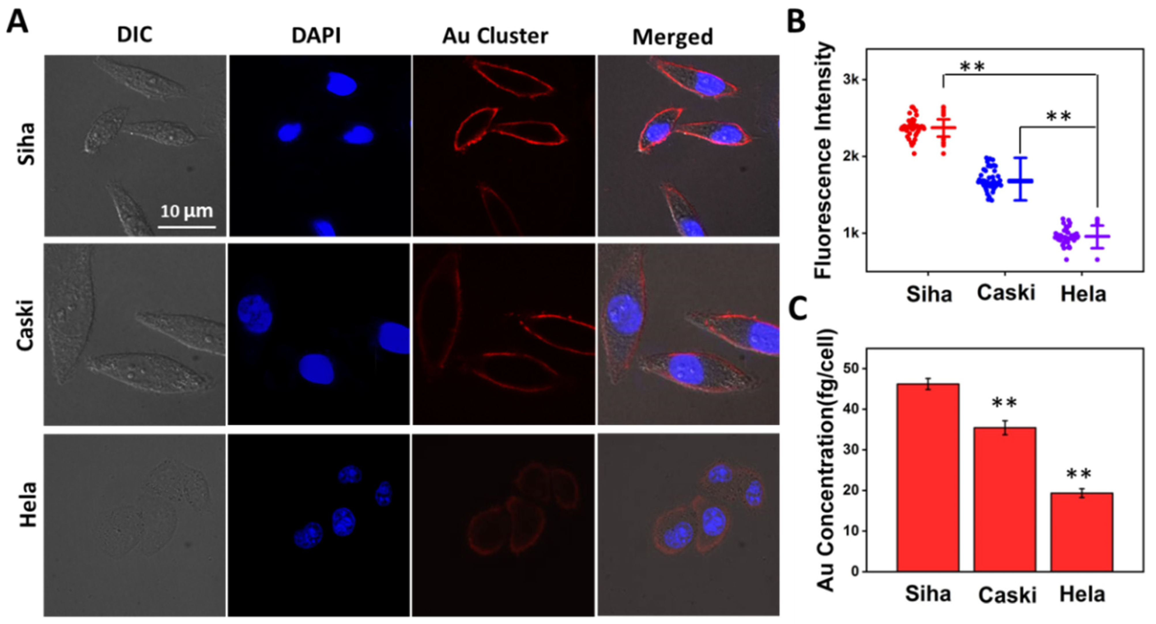 Nanomaterials 12 00145 g006