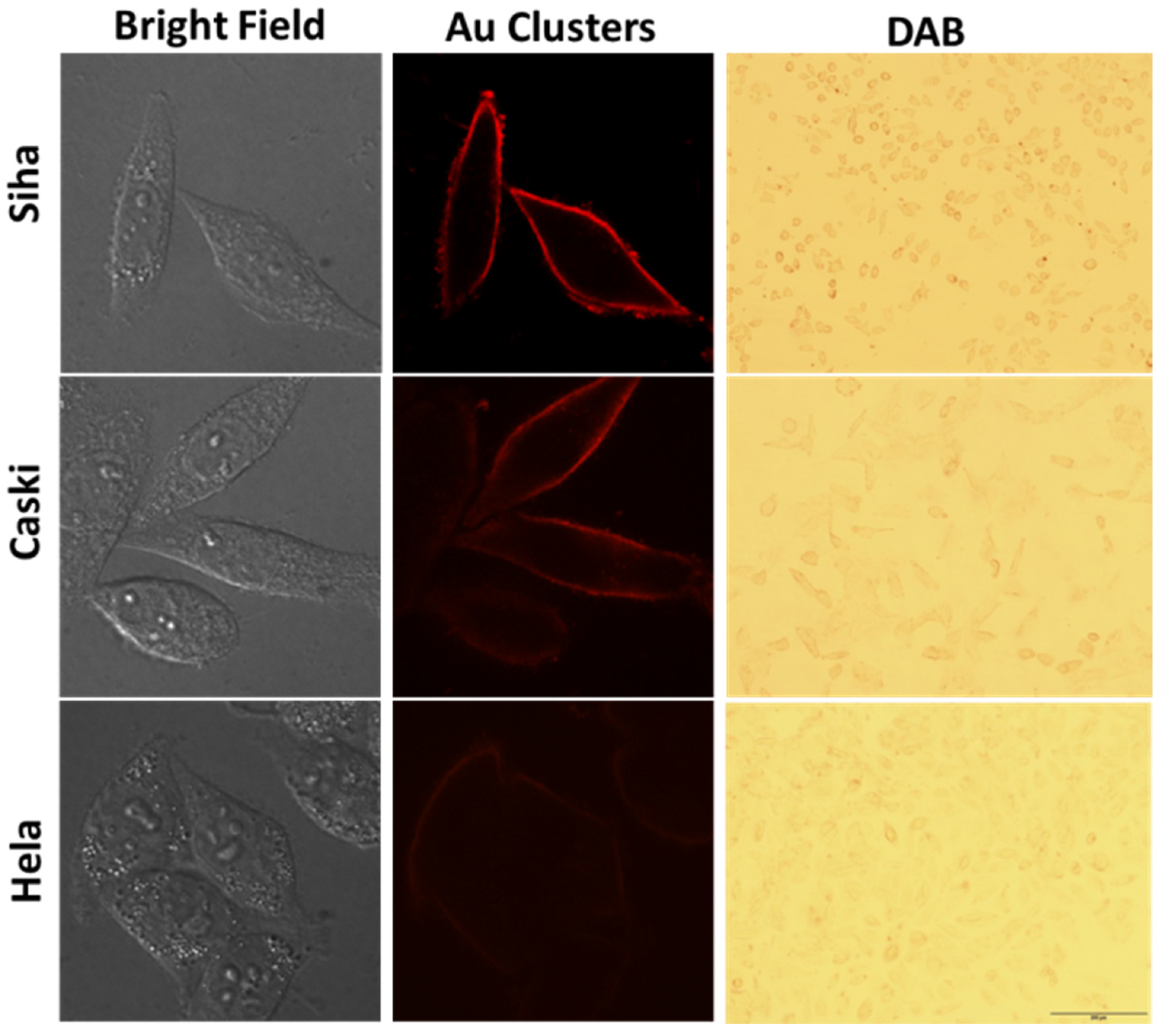 Nanomaterials 12 00145 g007