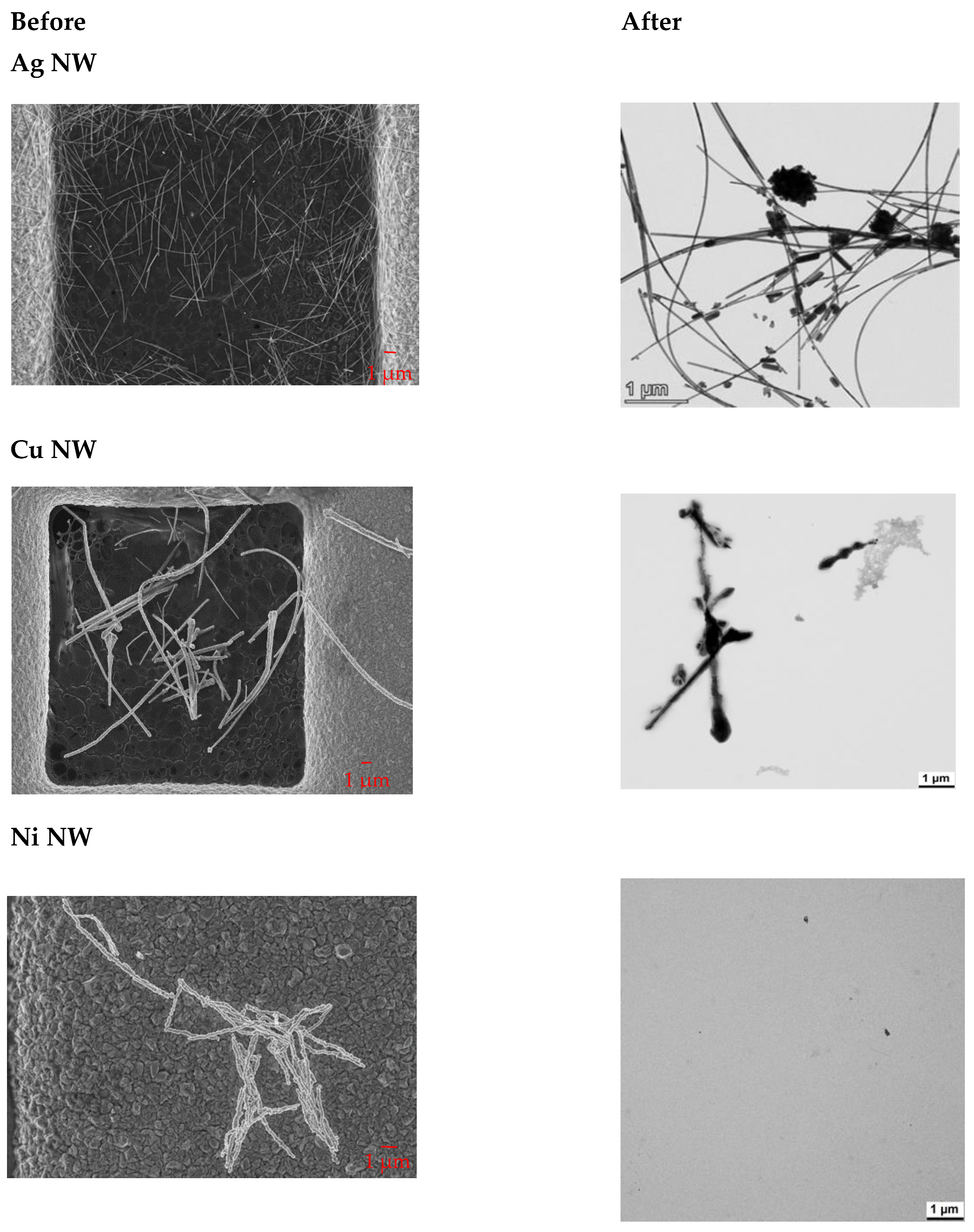 Nanomaterials 12 00147 g001a