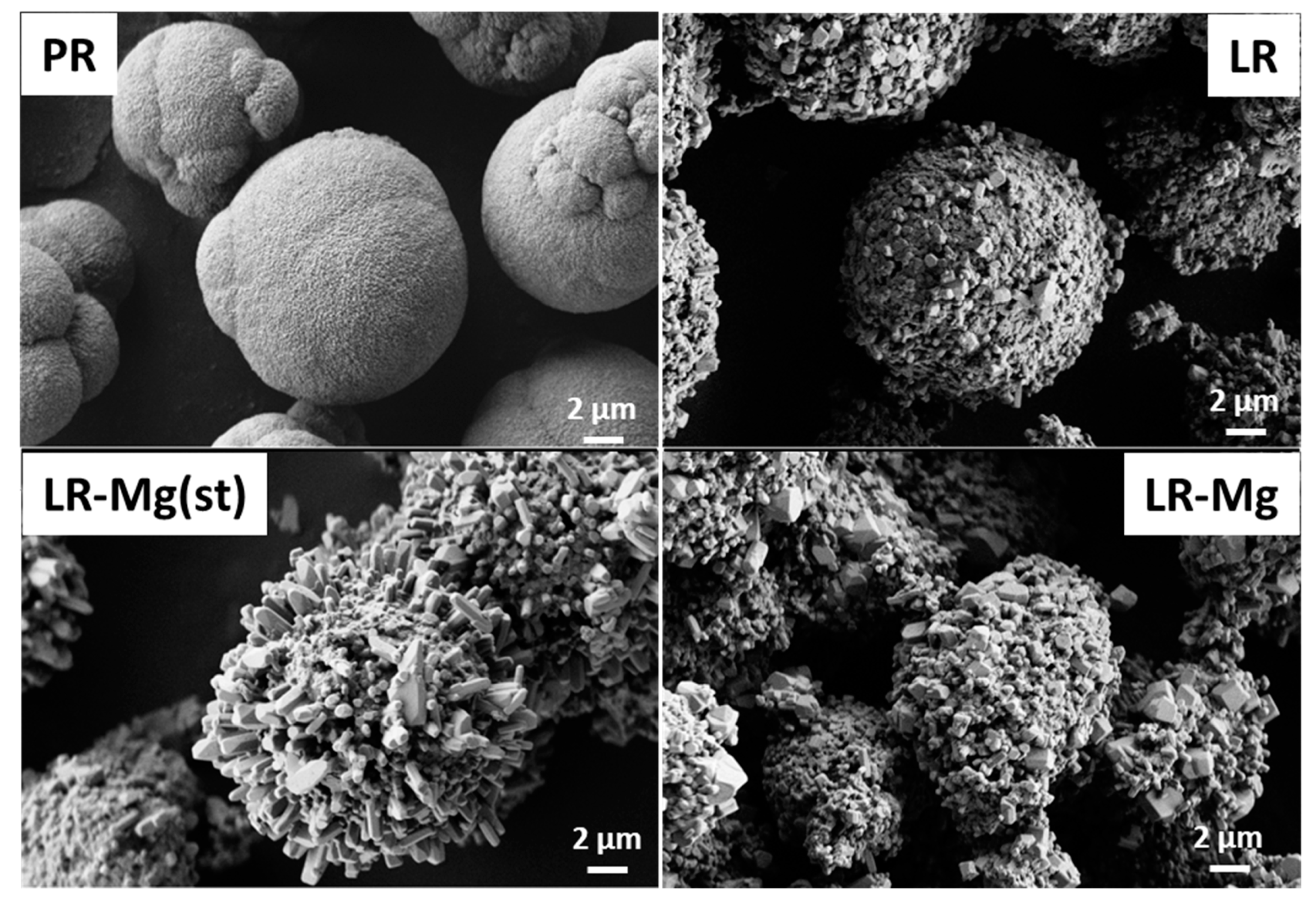 Nanomaterials 12 00156 g001