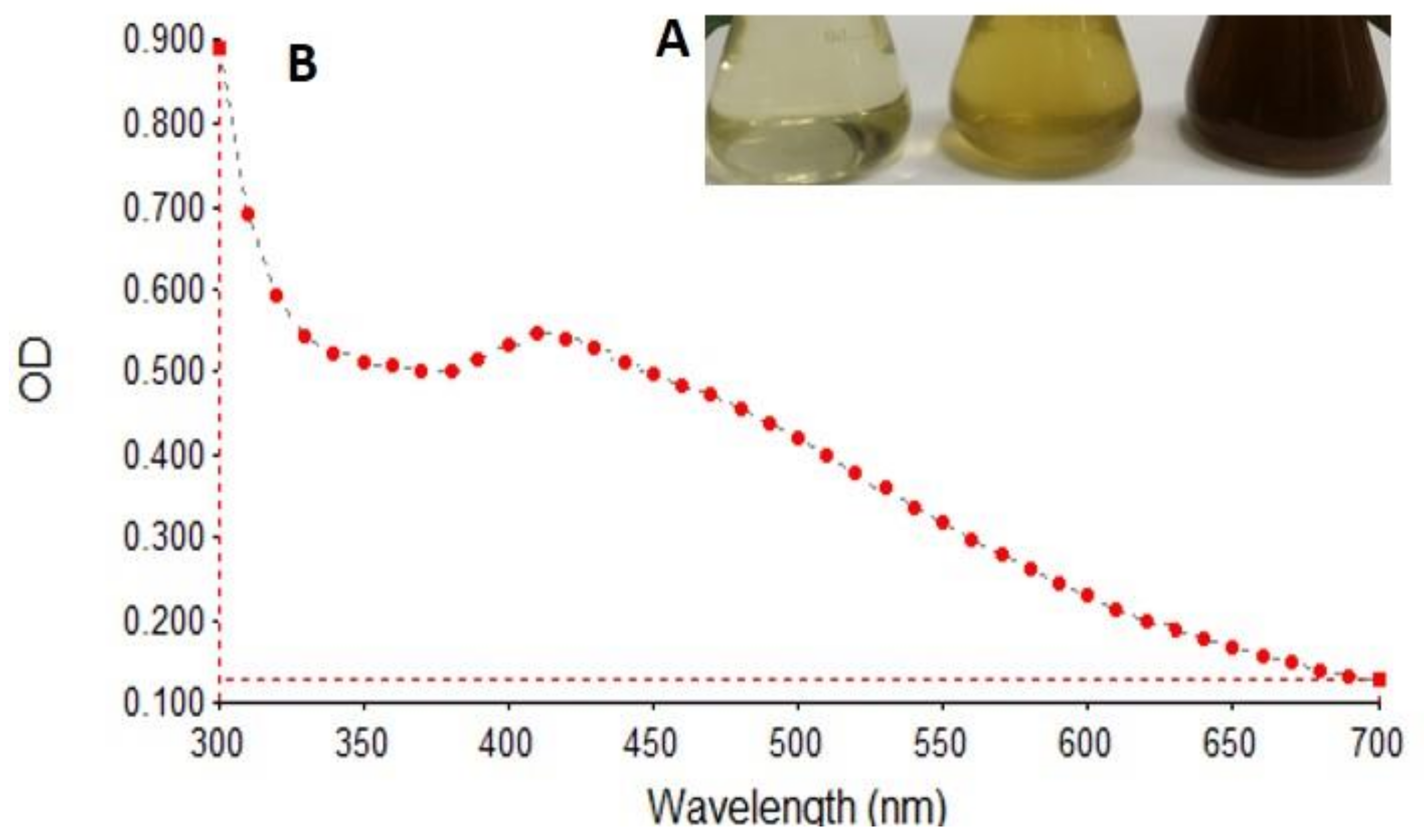 Nanomaterials 12 00161 g001