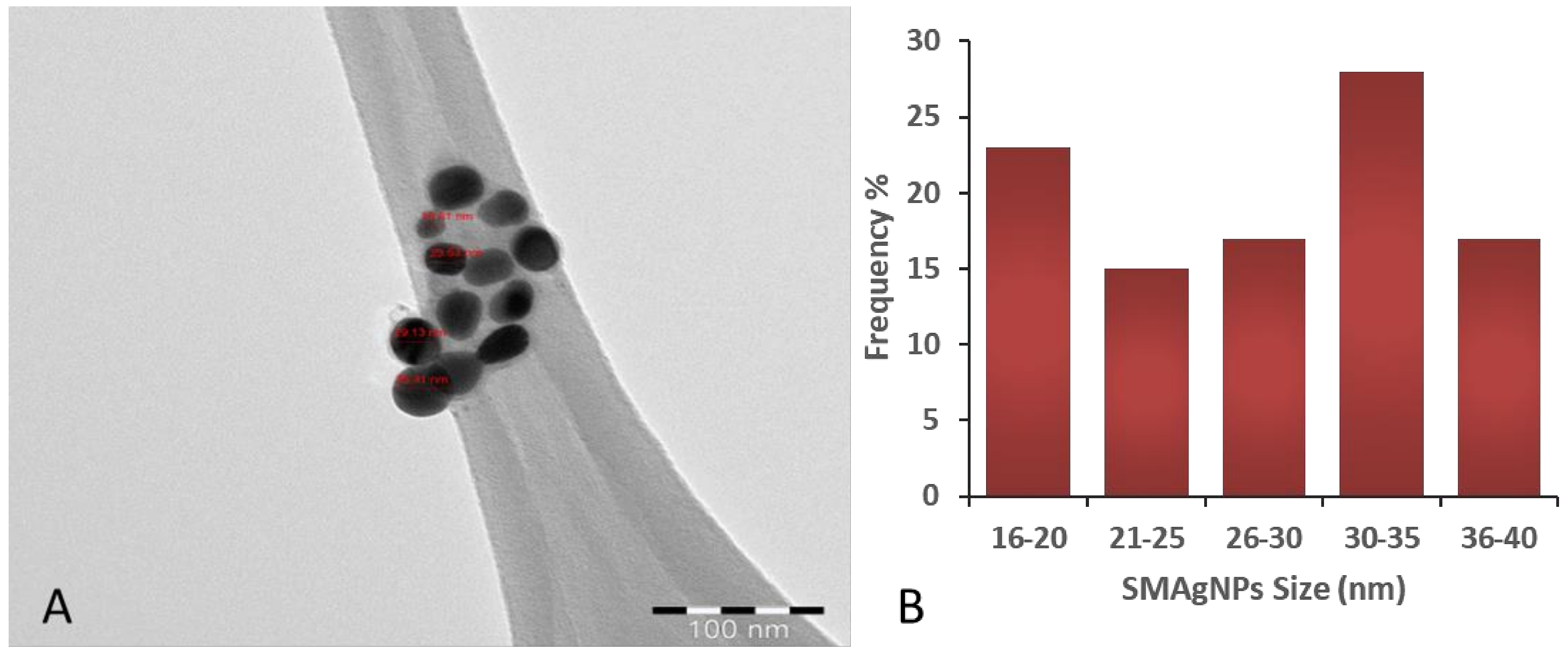Nanomaterials 12 00161 g002