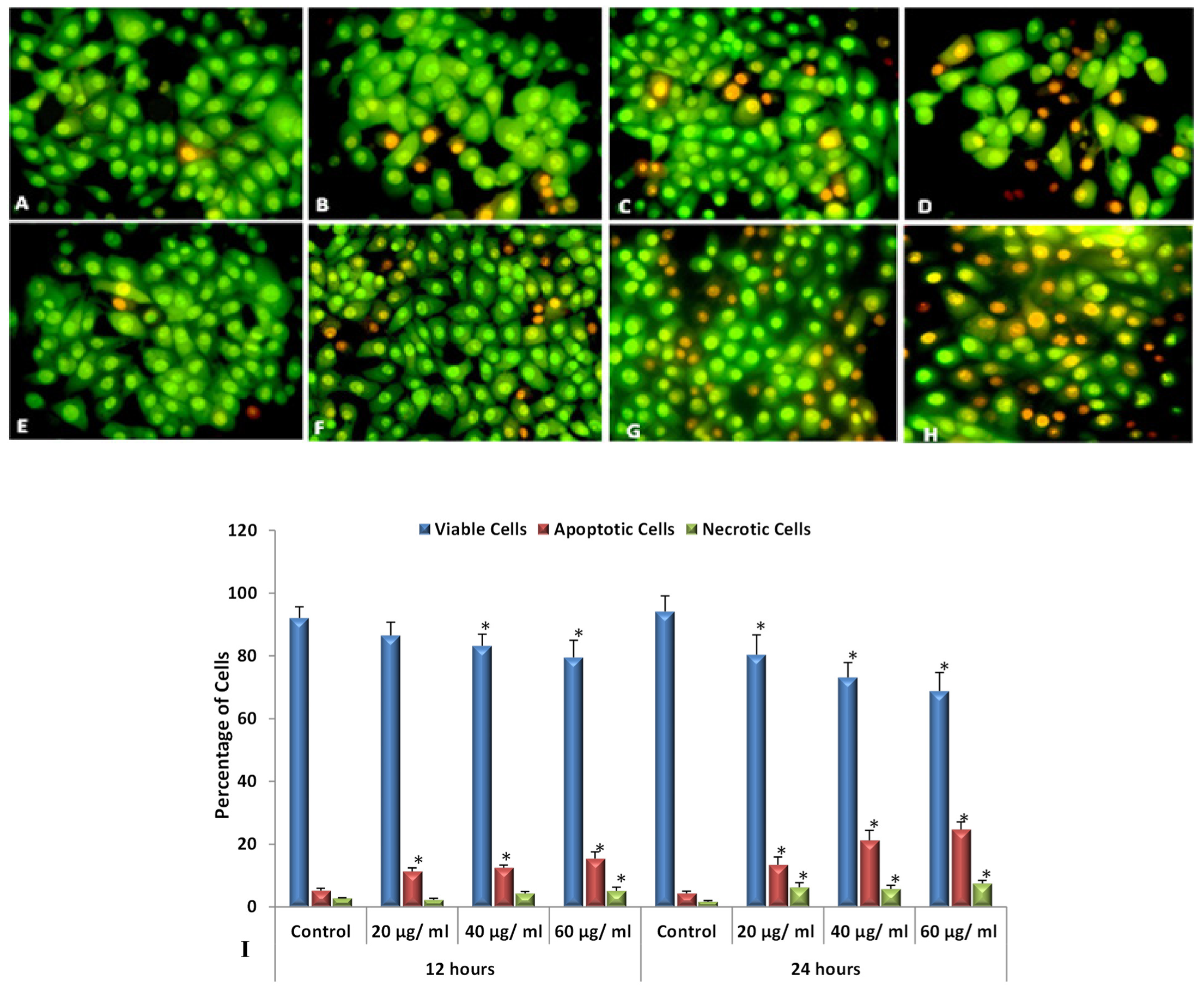 Nanomaterials 12 00161 g009