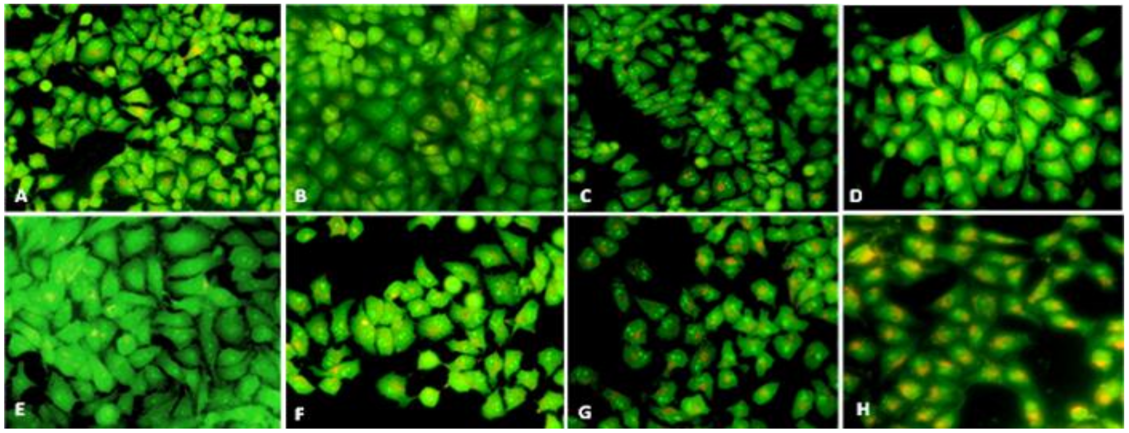 Nanomaterials 12 00161 g011