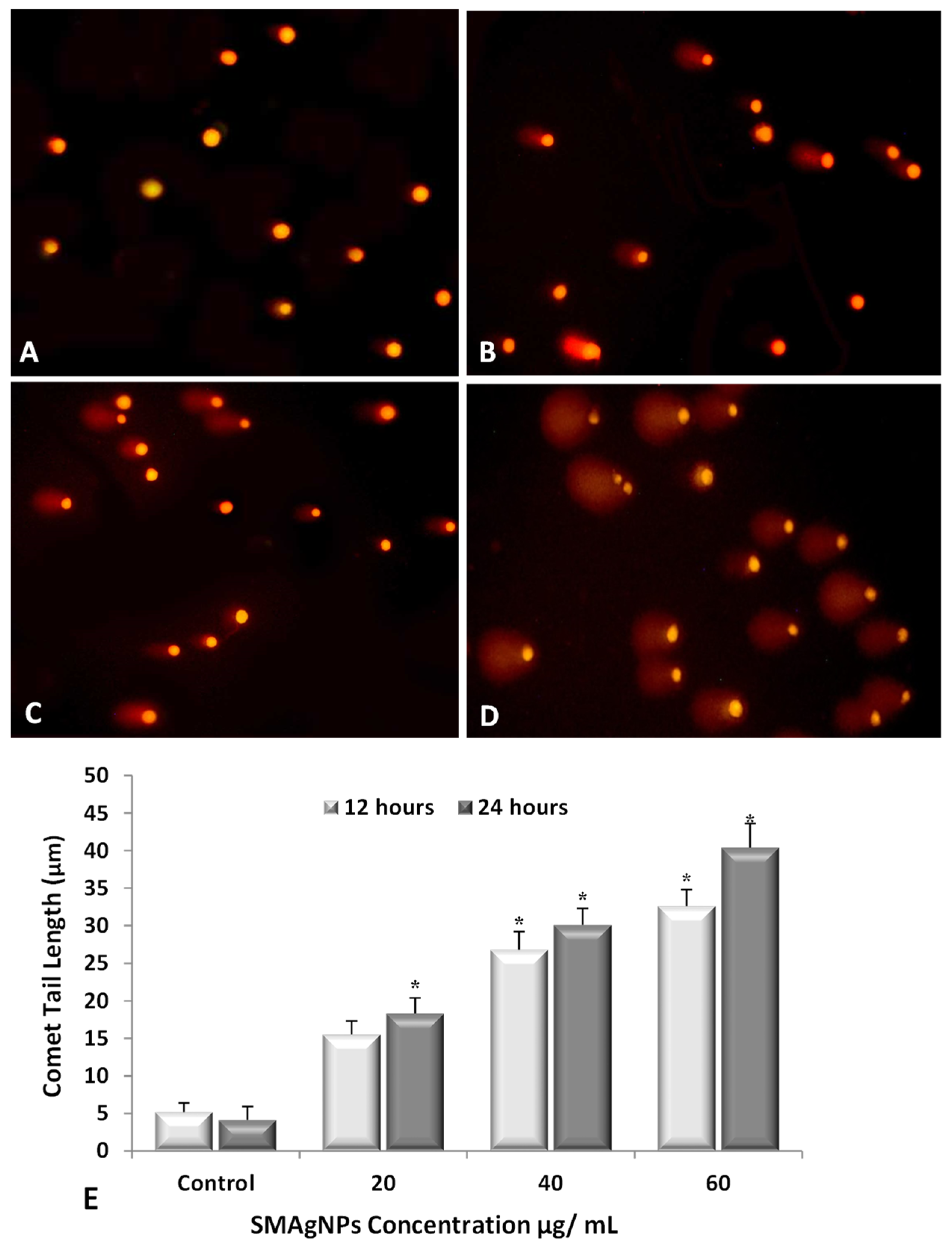 Nanomaterials 12 00161 g012