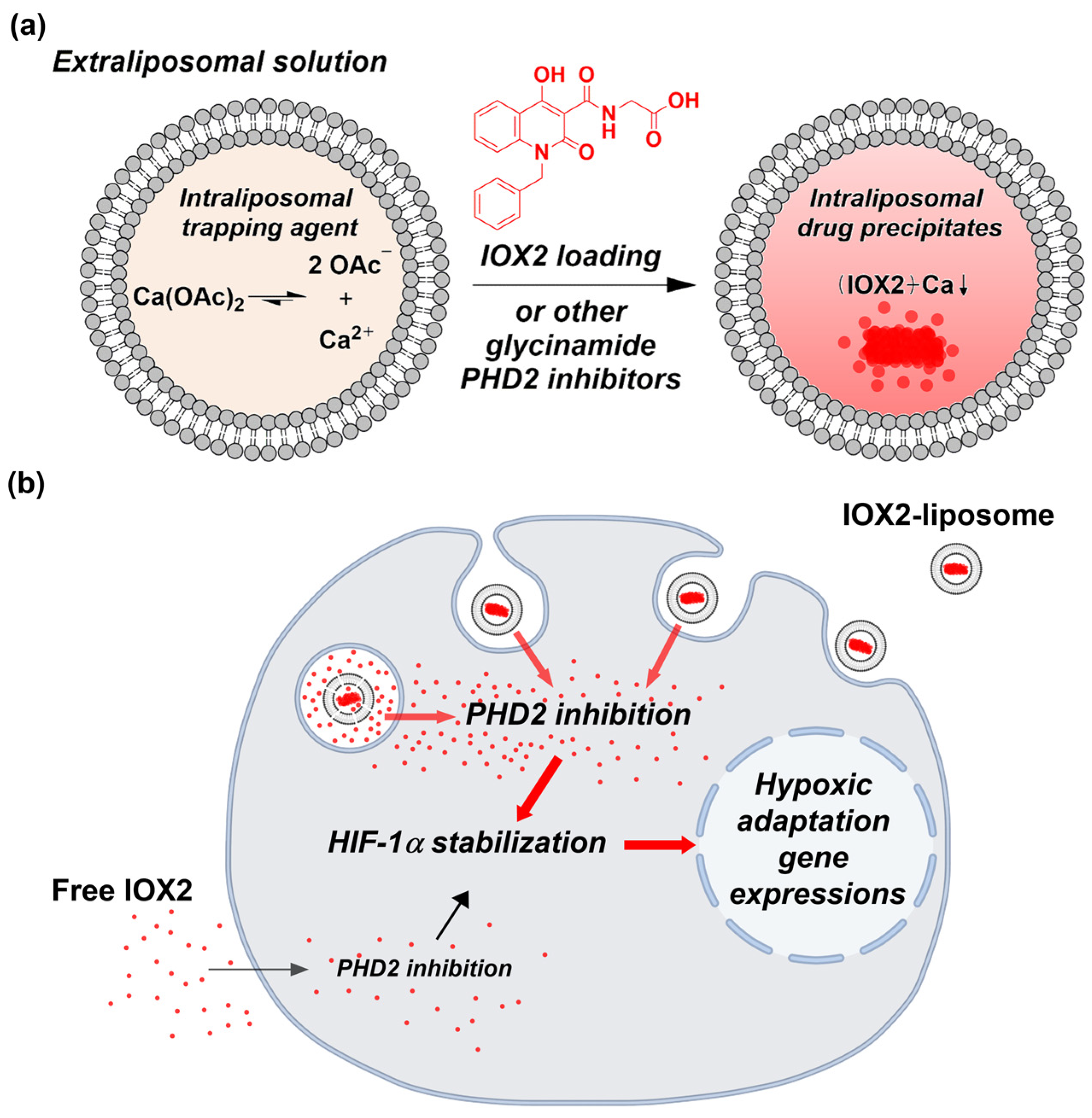 Nanomaterials 12 00163 g001 Nanomaterials 12 00163 g001